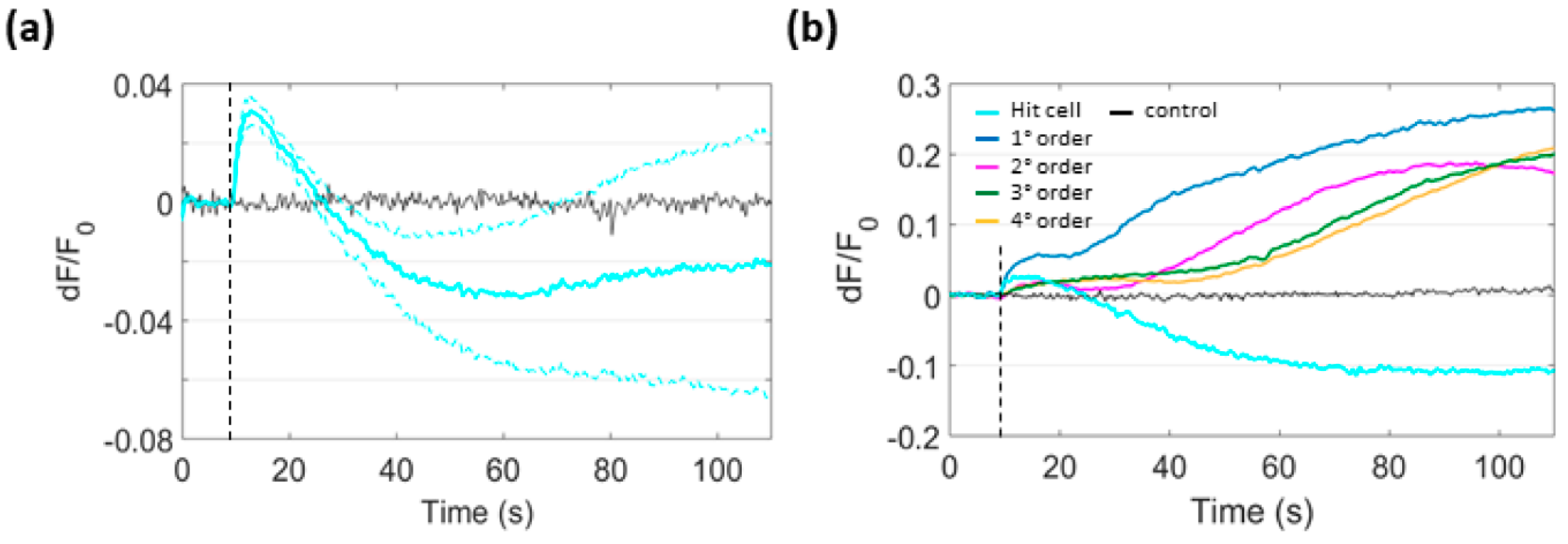 Cells 08 01175 g007 Cells 08 01175 g007