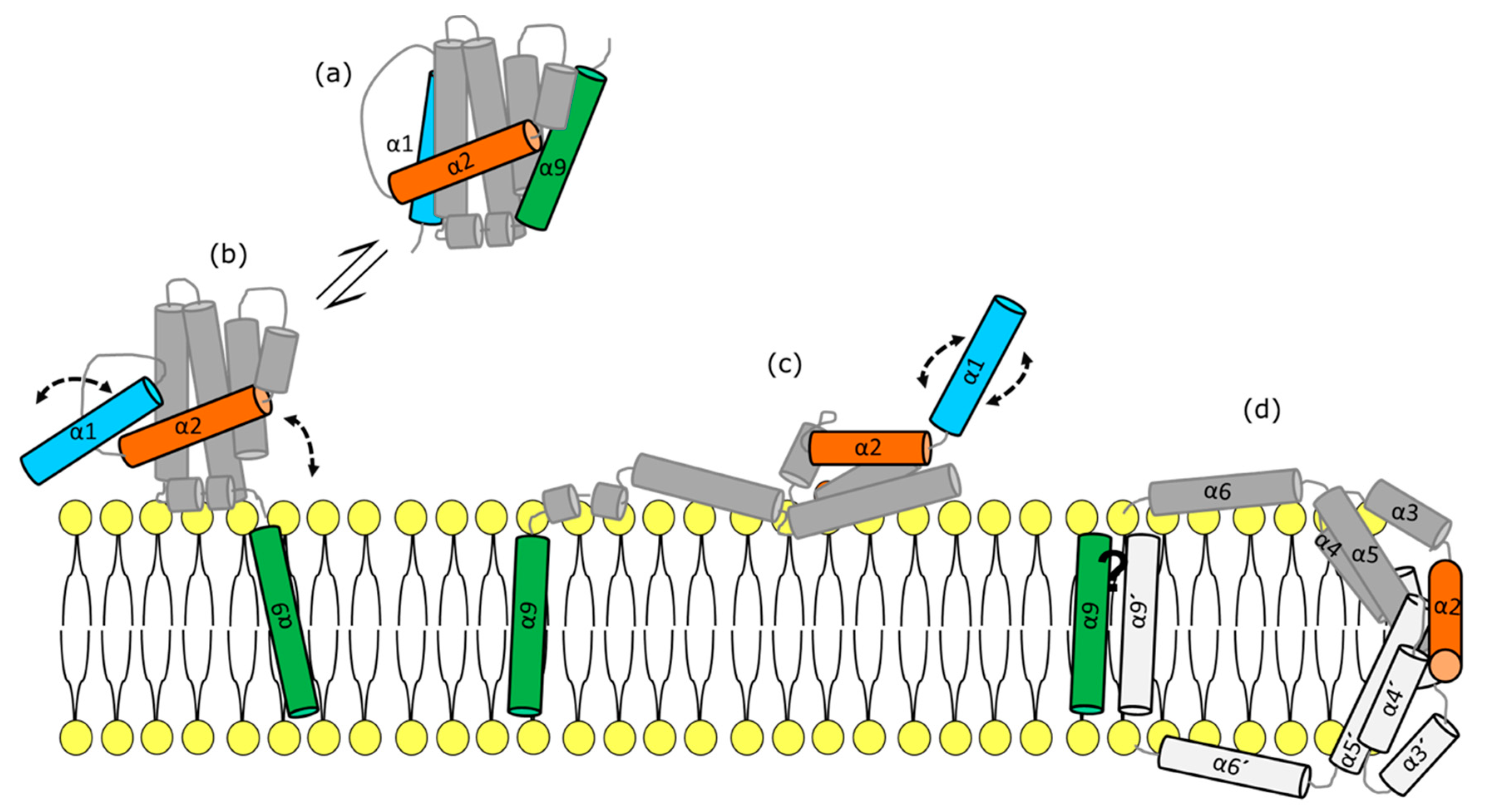Cells 08 01176 g002