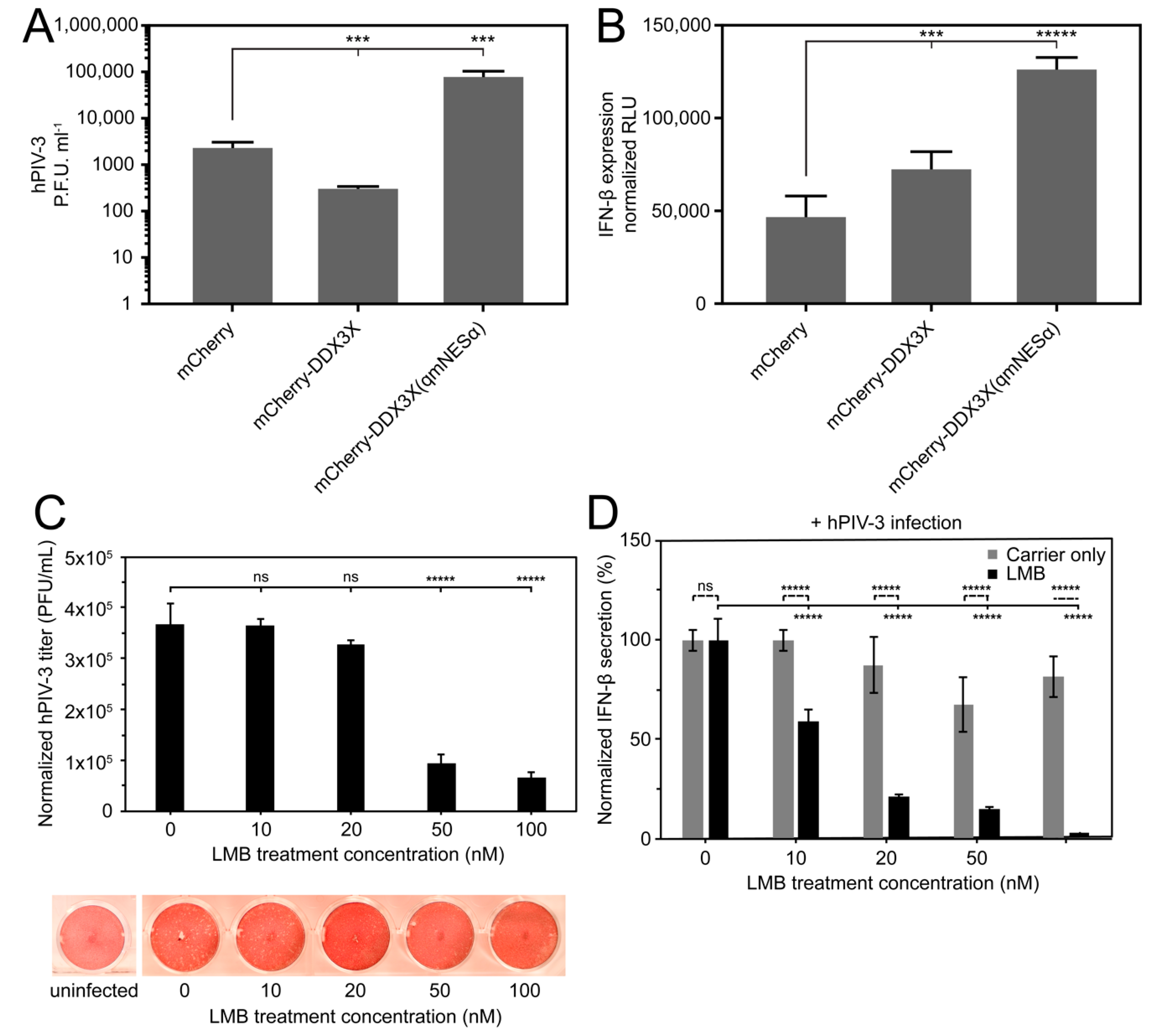 Cells 08 01181 g005 Cells 08 01181 g005