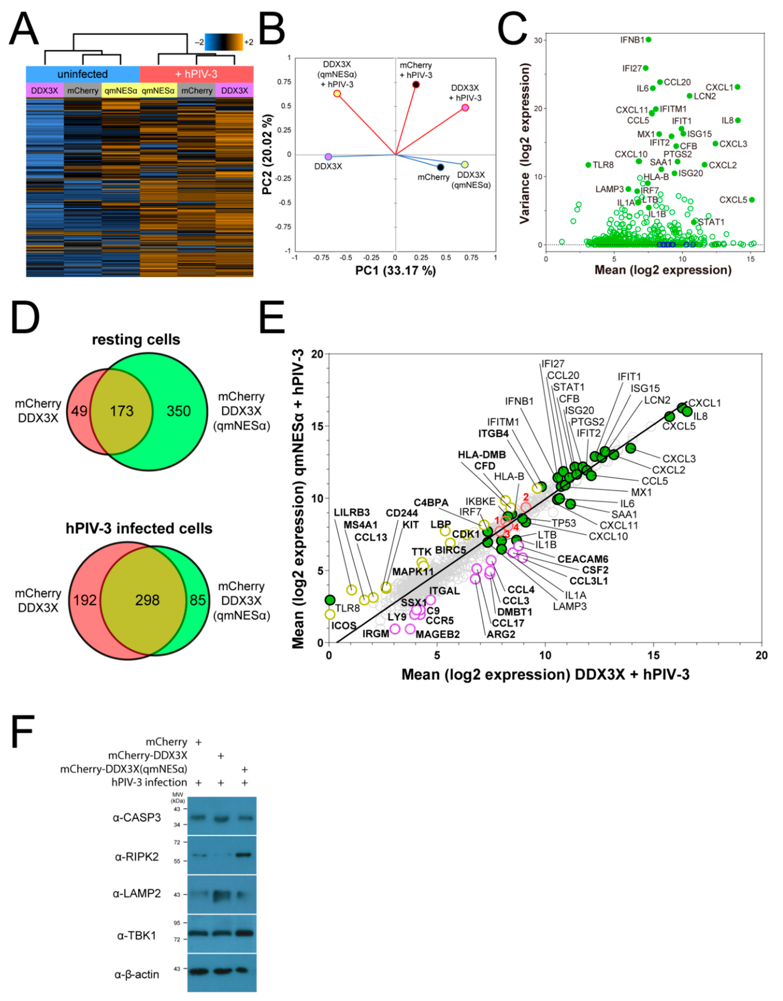Cells 08 01181 g006 Cells 08 01181 g006