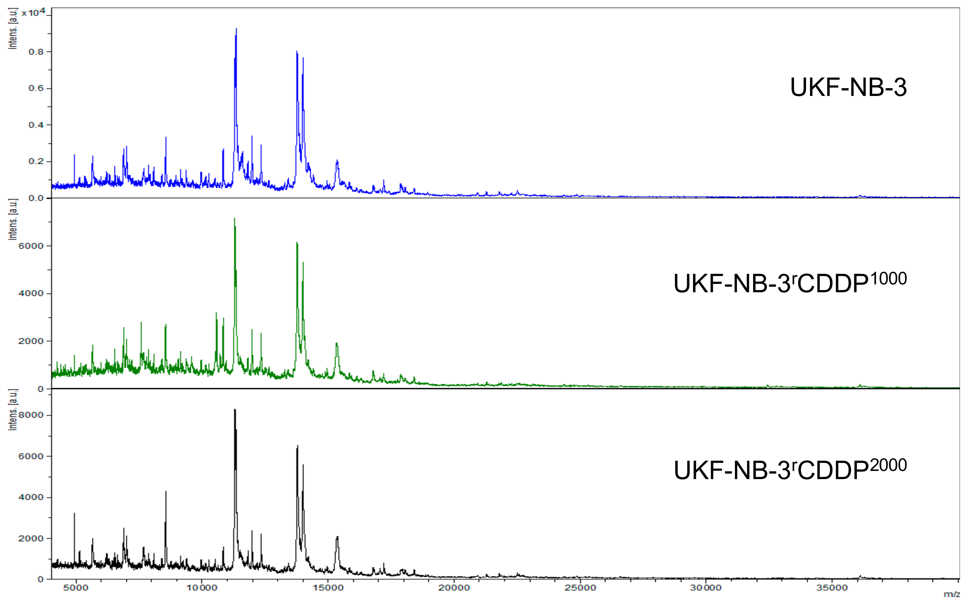 Cells 08 01194 g002 Cells 08 01194 g002