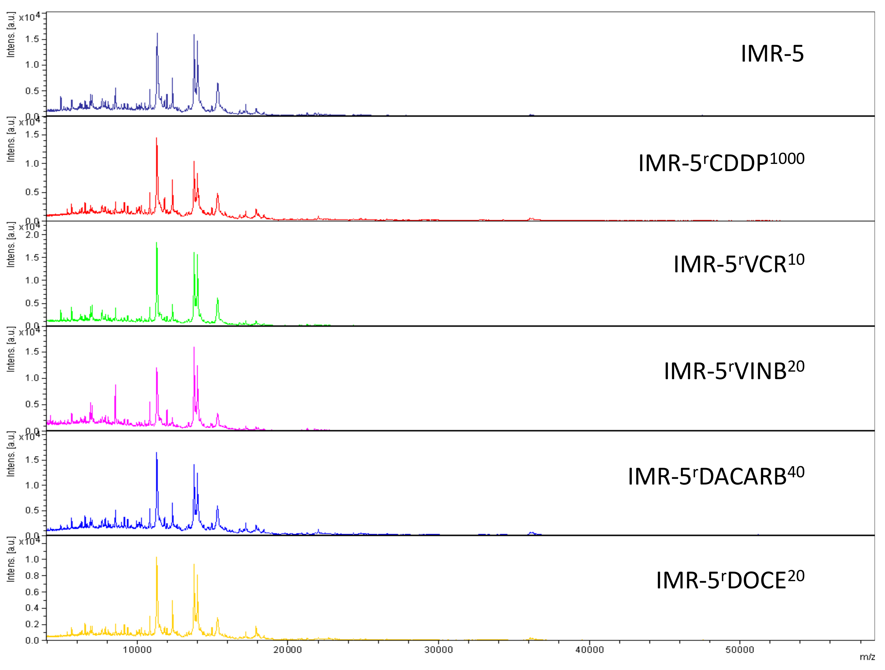 Cells 08 01194 g003 Cells 08 01194 g003