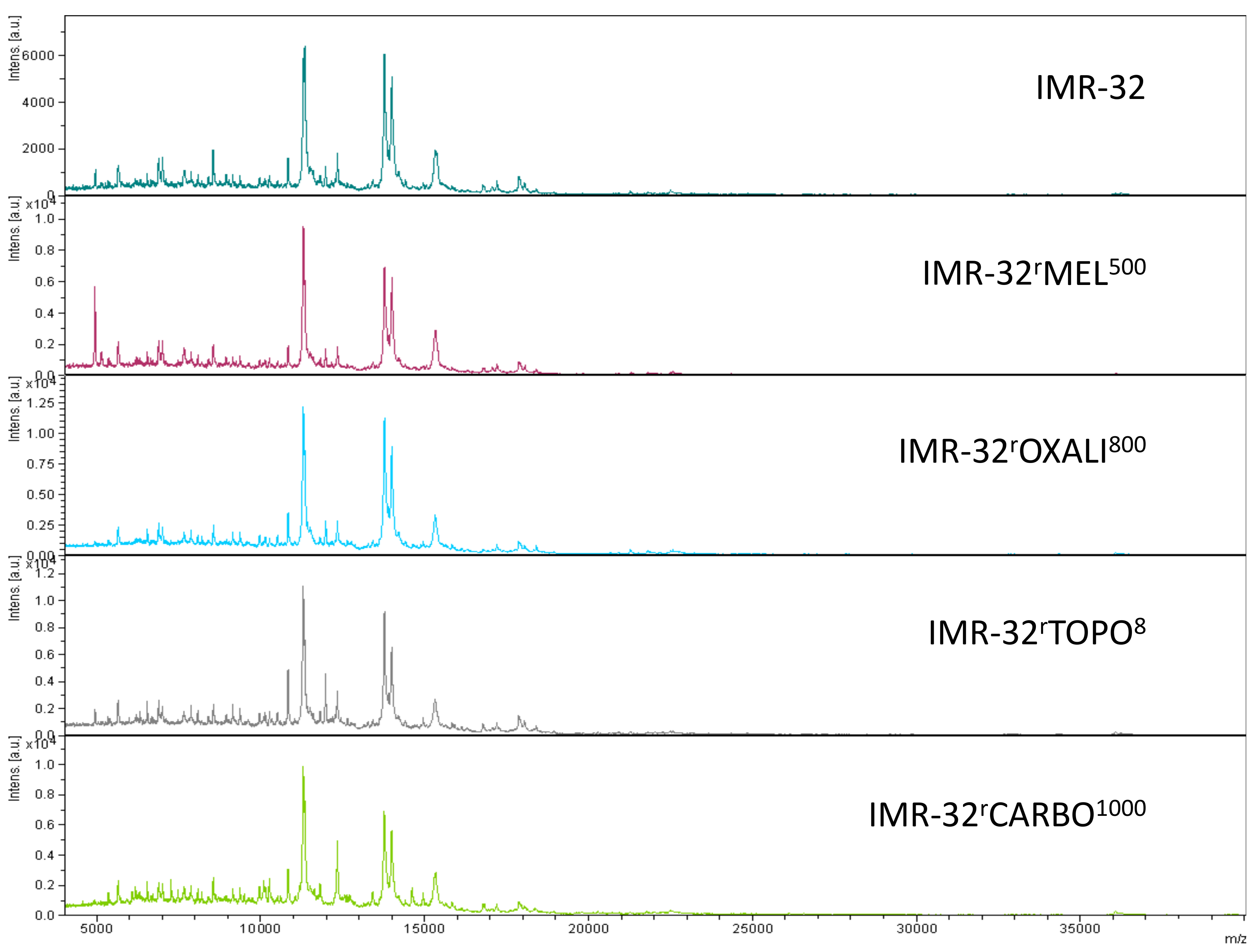 Cells 08 01194 g004 Cells 08 01194 g004