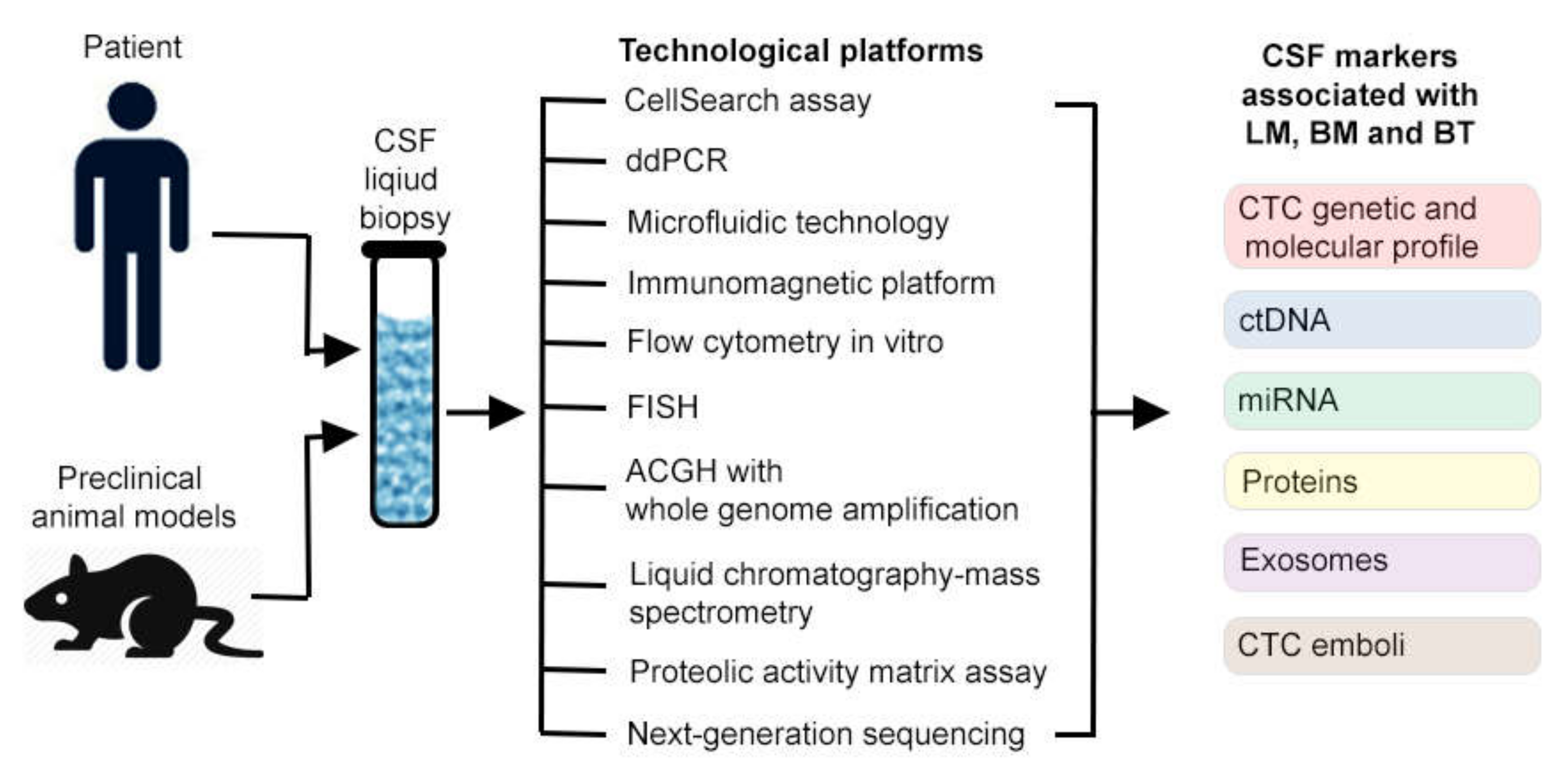fluid image html fluid image html