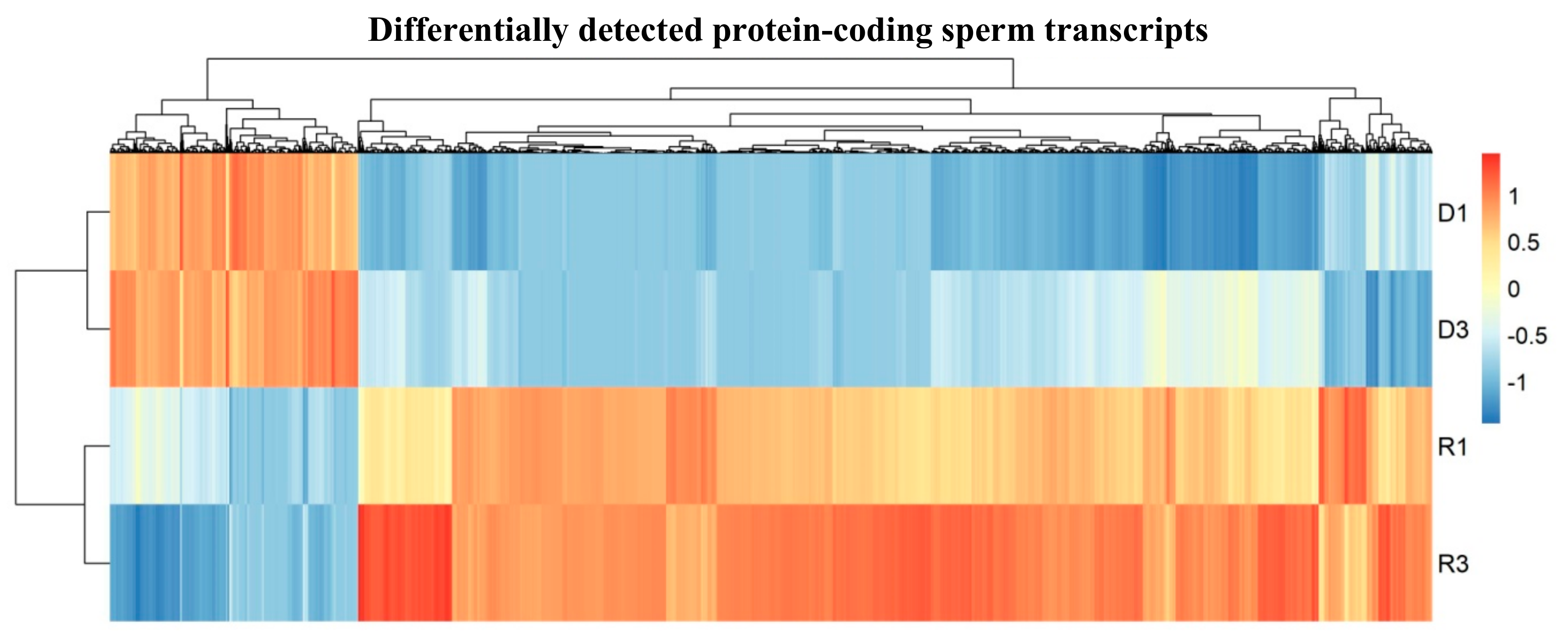 Cells 08 01196 g002 Cells 08 01196 g002