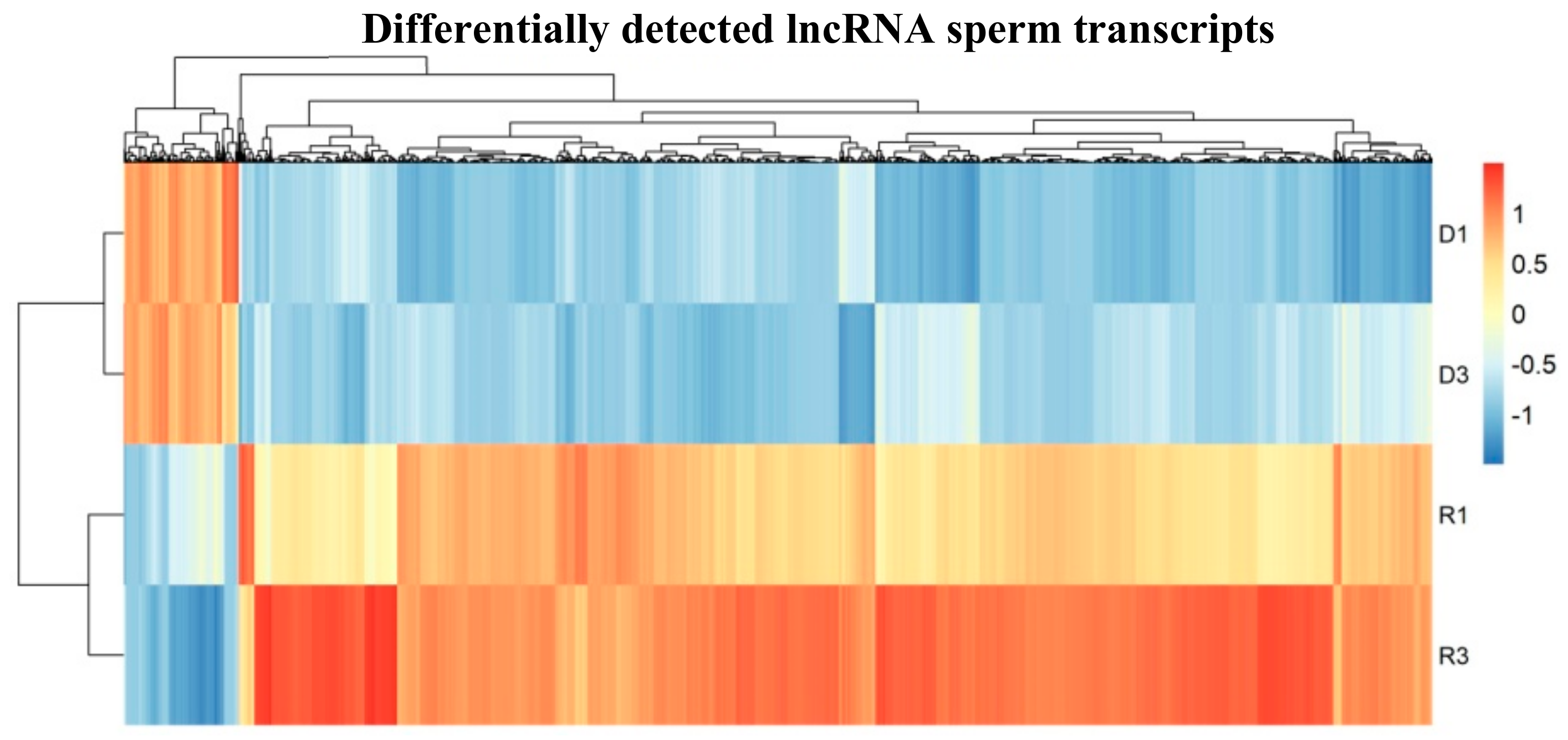 Cells 08 01196 g004 Cells 08 01196 g004