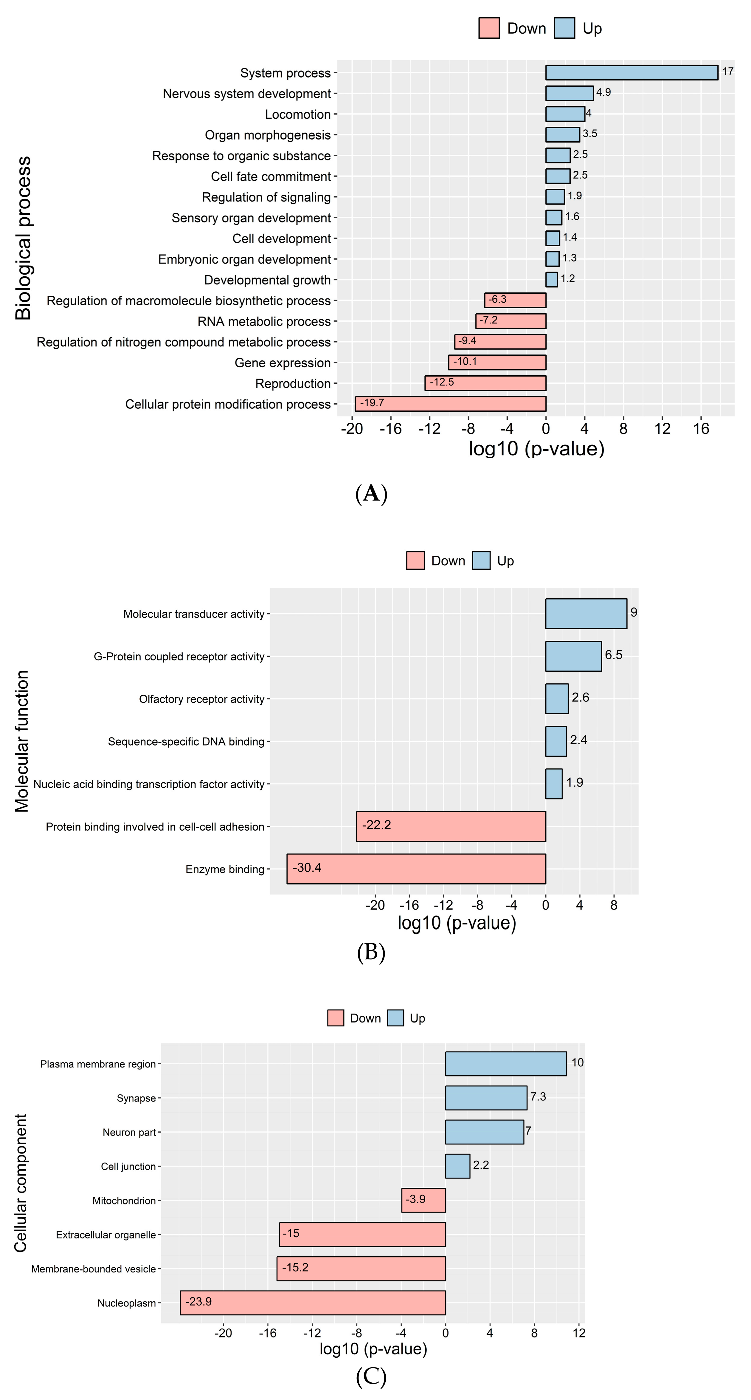 Cells 08 01196 g005 Cells 08 01196 g005