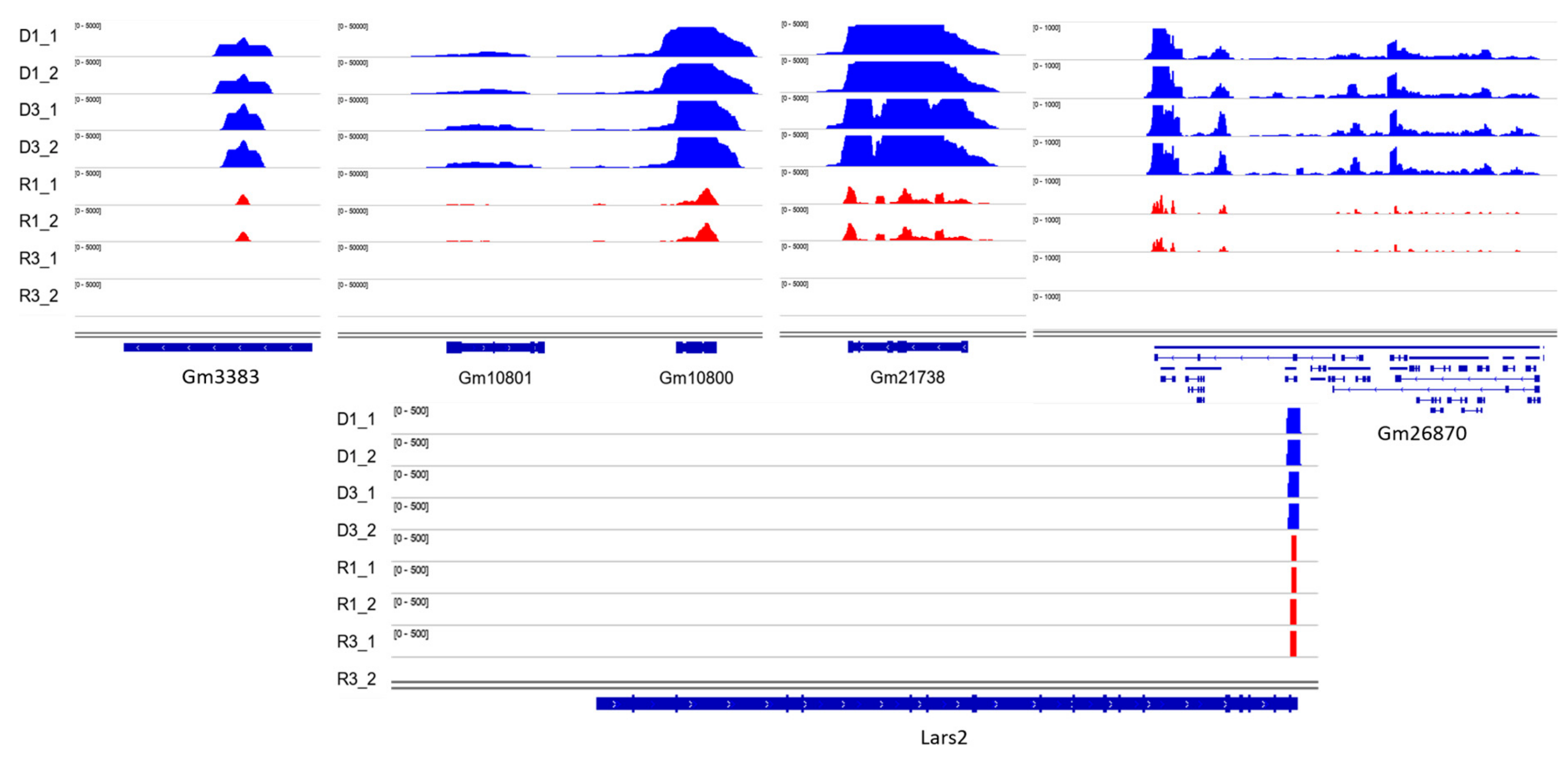 Cells 08 01196 g006 Cells 08 01196 g006