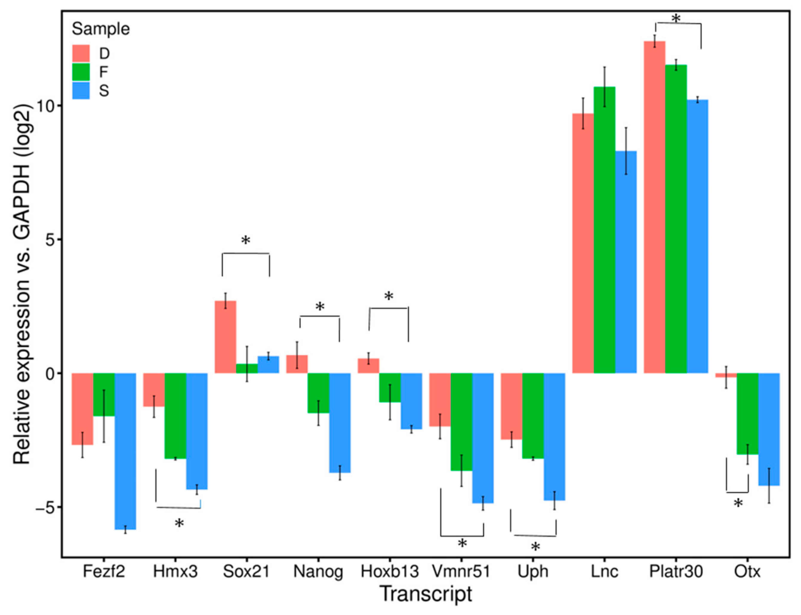 Cells 08 01196 g007 Cells 08 01196 g007