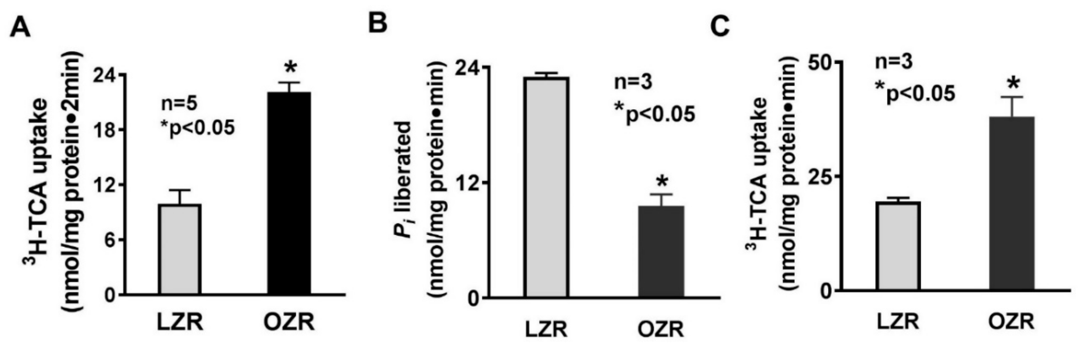 Cells 08 01197 g001 Cells 08 01197 g001