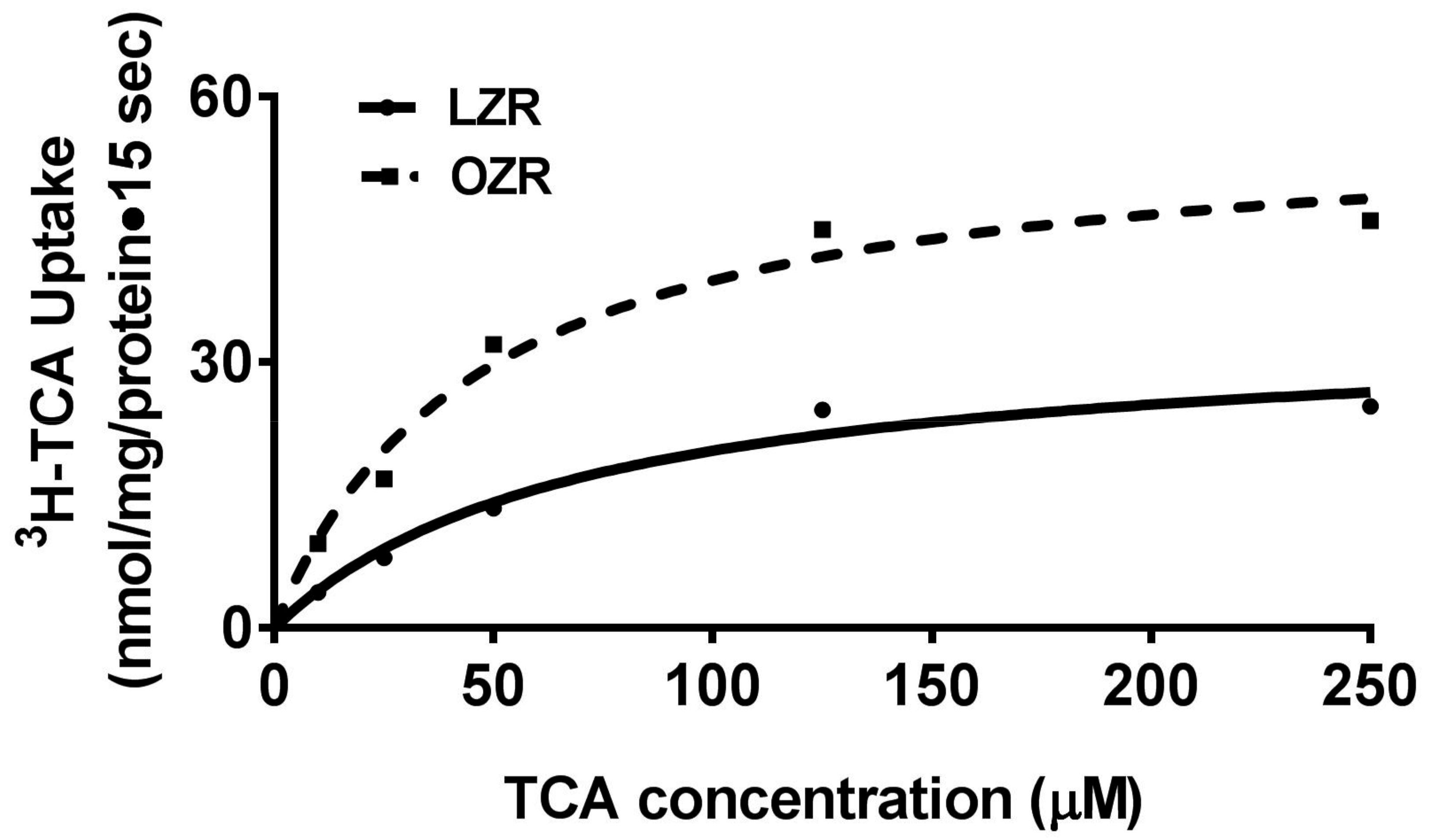 Cells 08 01197 g002 Cells 08 01197 g002