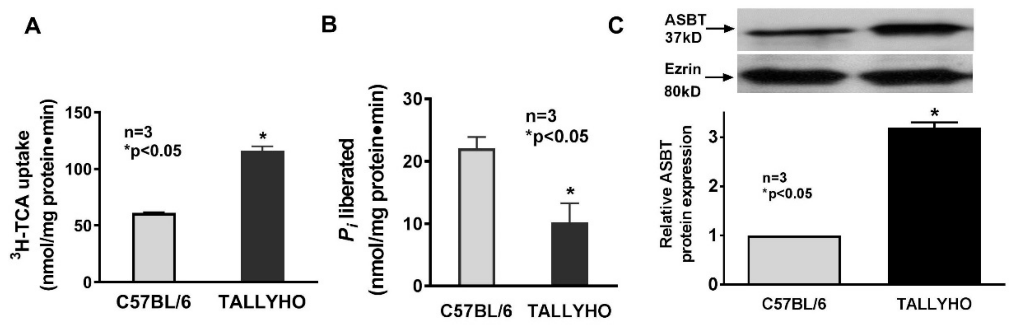 Cells 08 01197 g004 Cells 08 01197 g004