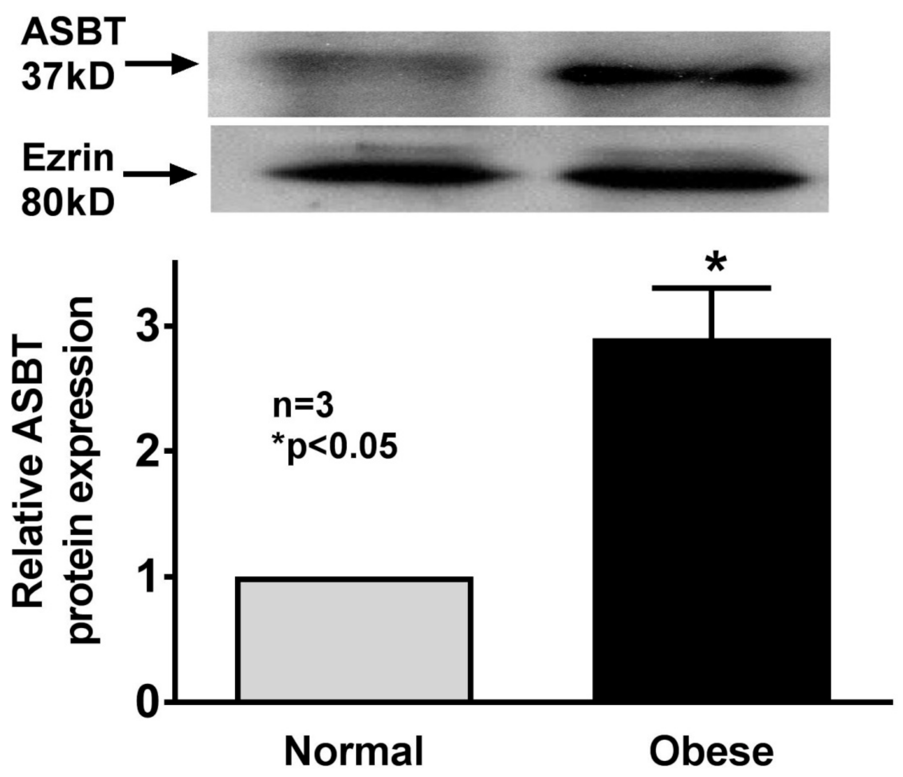 Cells 08 01197 g005 Cells 08 01197 g005