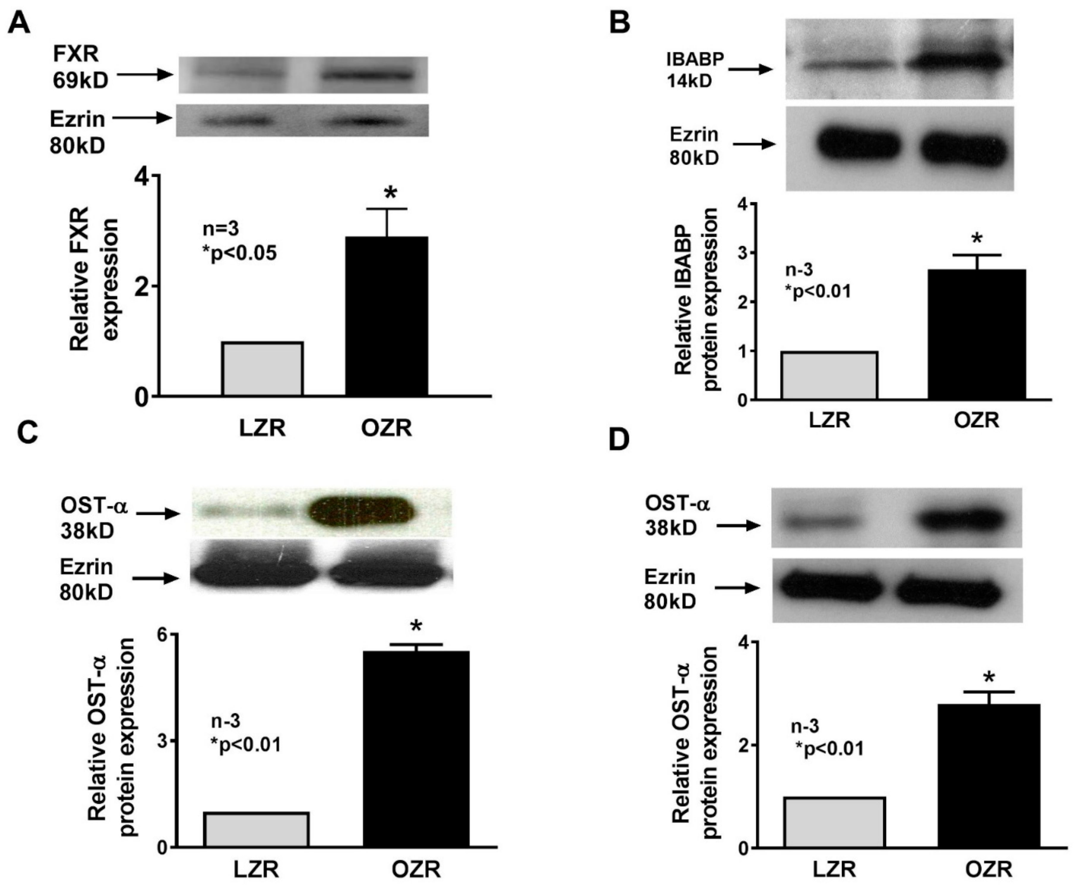 Cells 08 01197 g006 Cells 08 01197 g006
