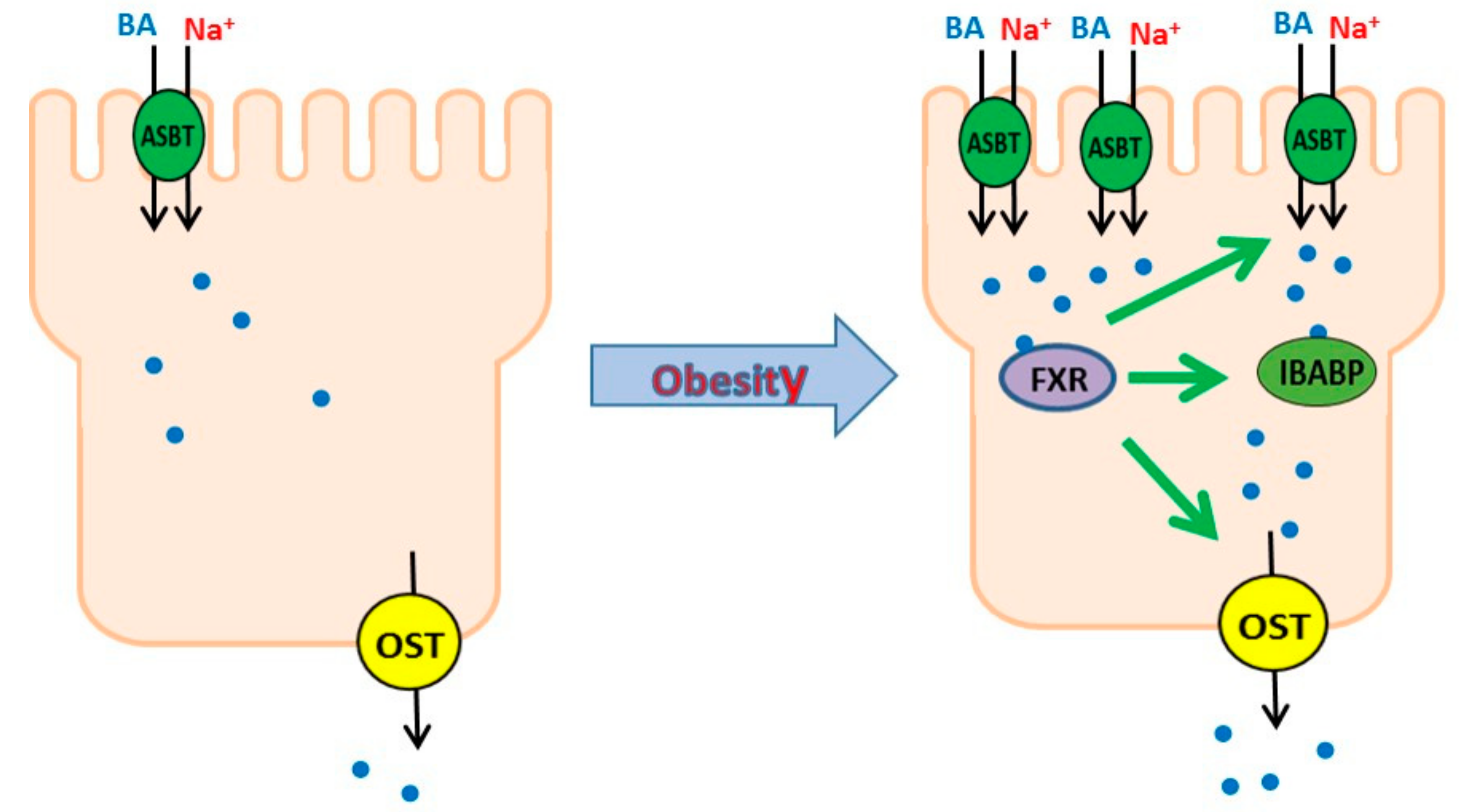 Cells 08 01197 g009 Cells 08 01197 g009