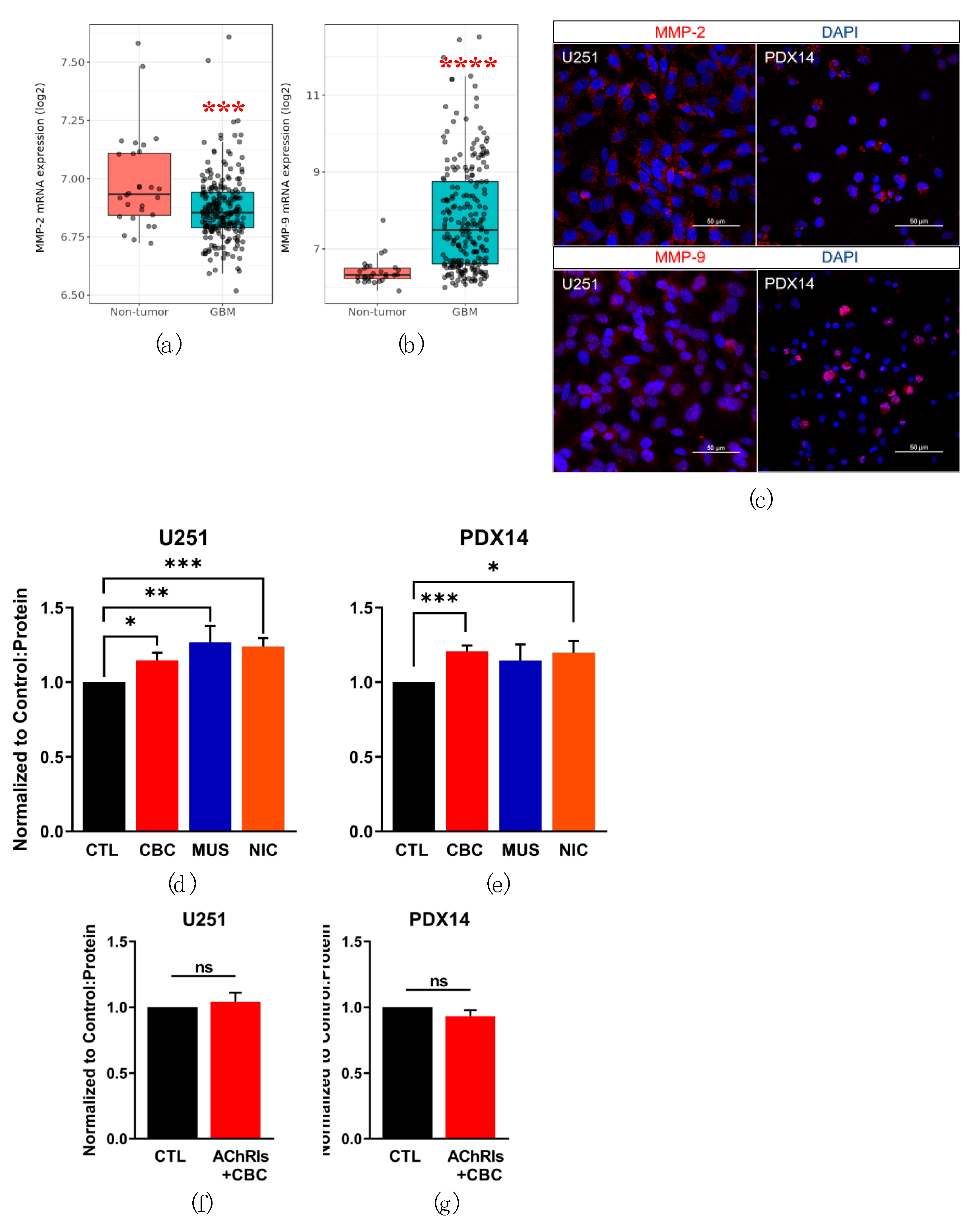 Cells 08 01203 g005 Cells 08 01203 g005