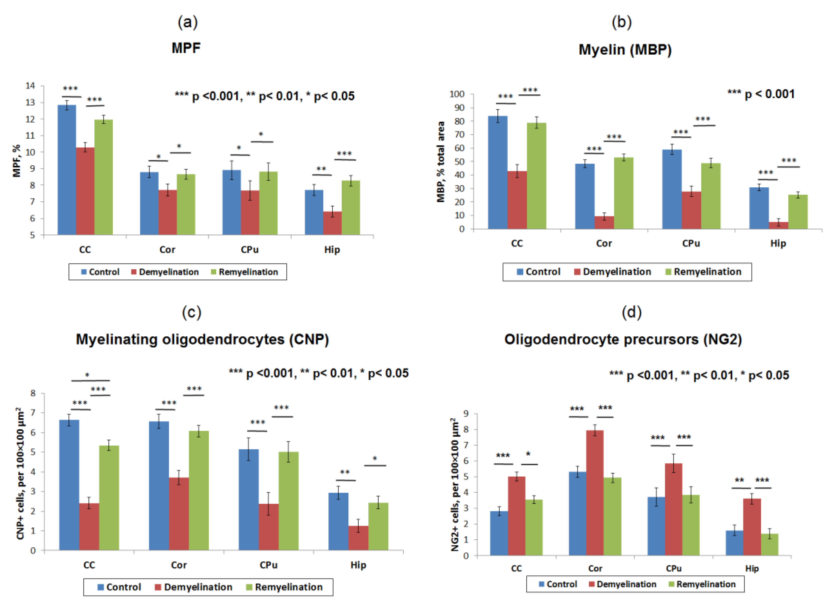 Cells 08 01204 g006 Cells 08 01204 g006