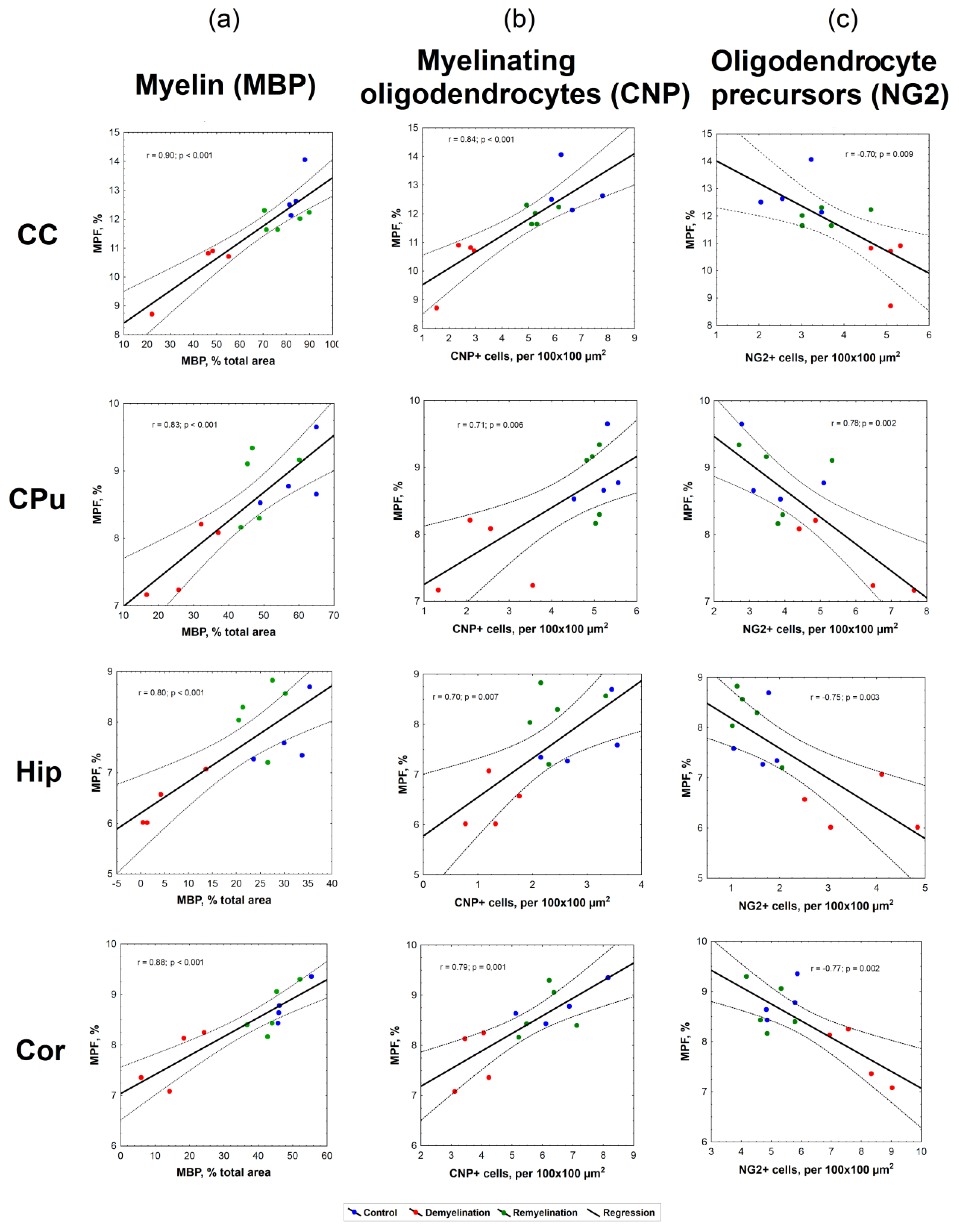Cells 08 01204 g007 Cells 08 01204 g007