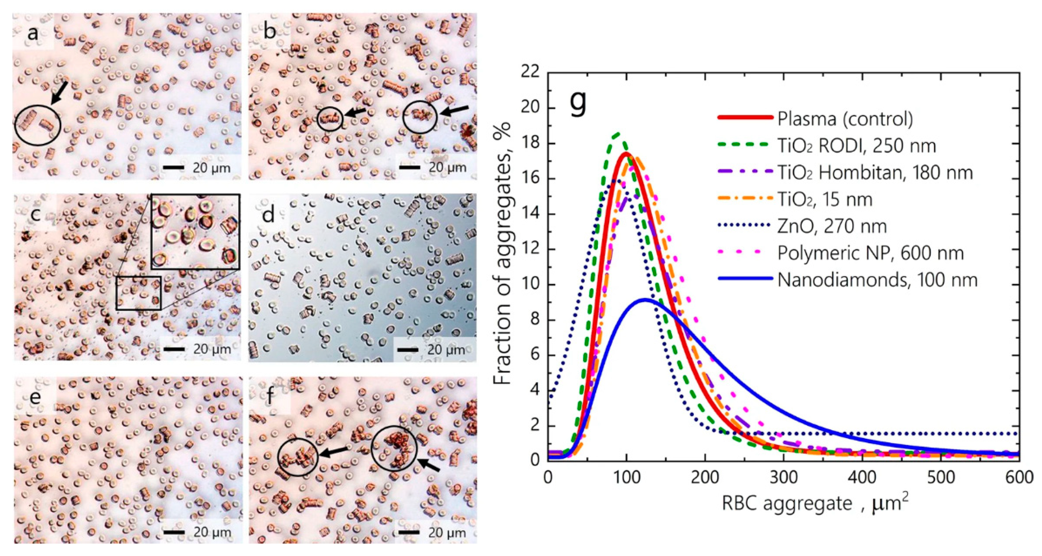 Cells 08 01209 g001 Cells 08 01209 g001