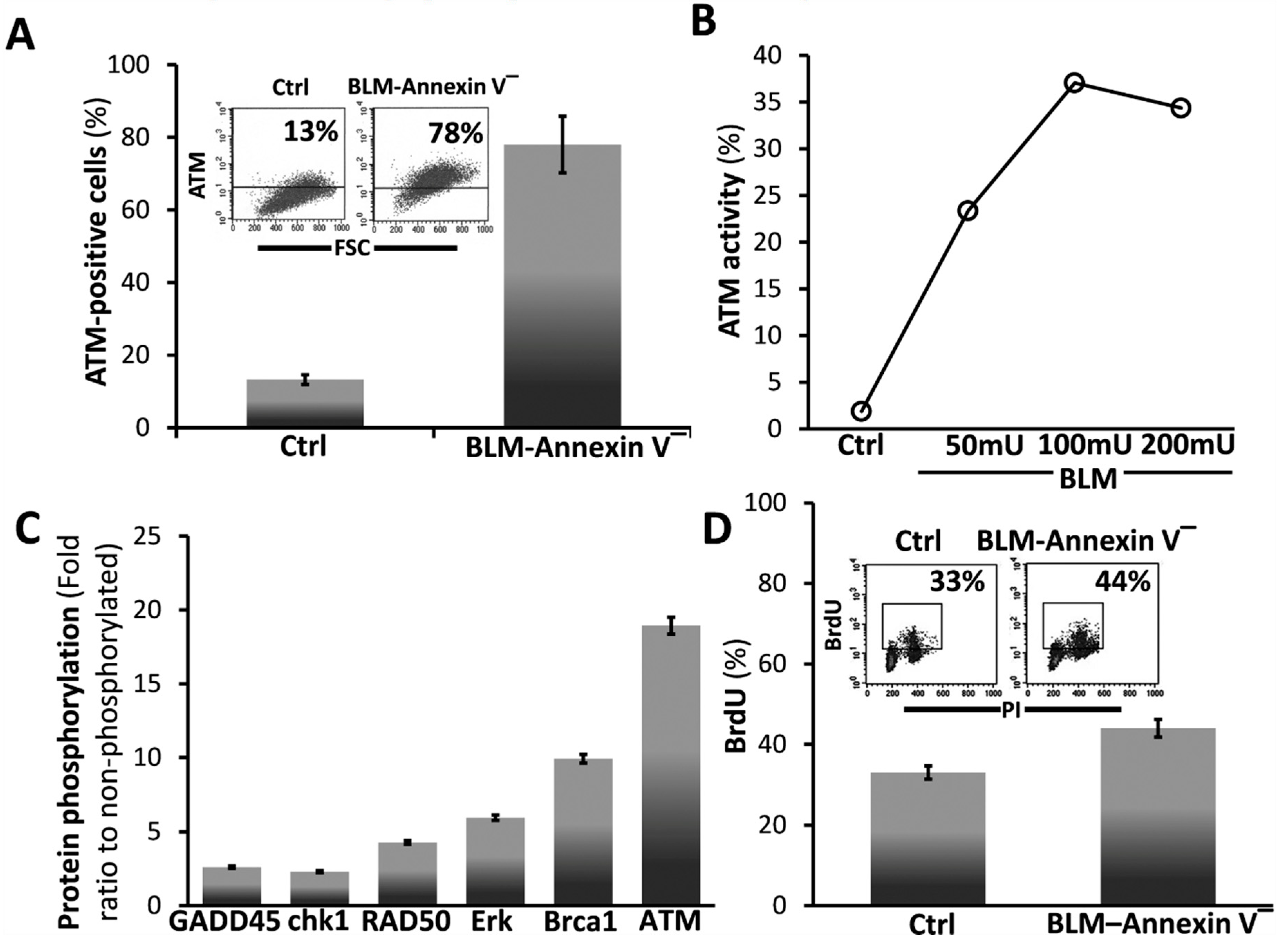 Cells 08 01211 g002 Cells 08 01211 g002