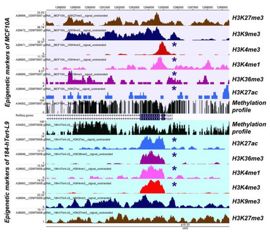 MicroRNAs and Epigenetics Strategies to Reverse Breast Cancer