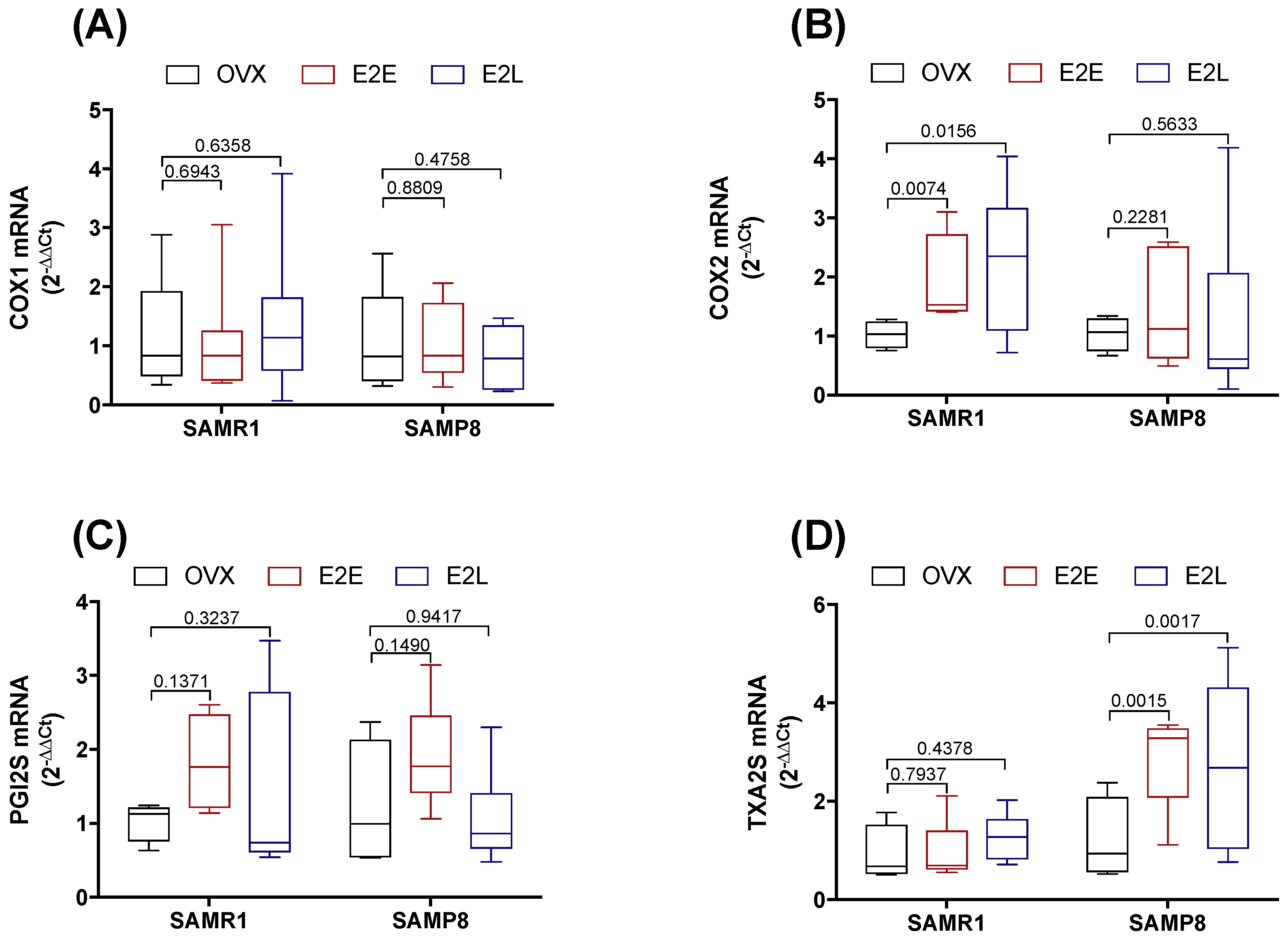 Cells 08 01217 g004 Cells 08 01217 g004