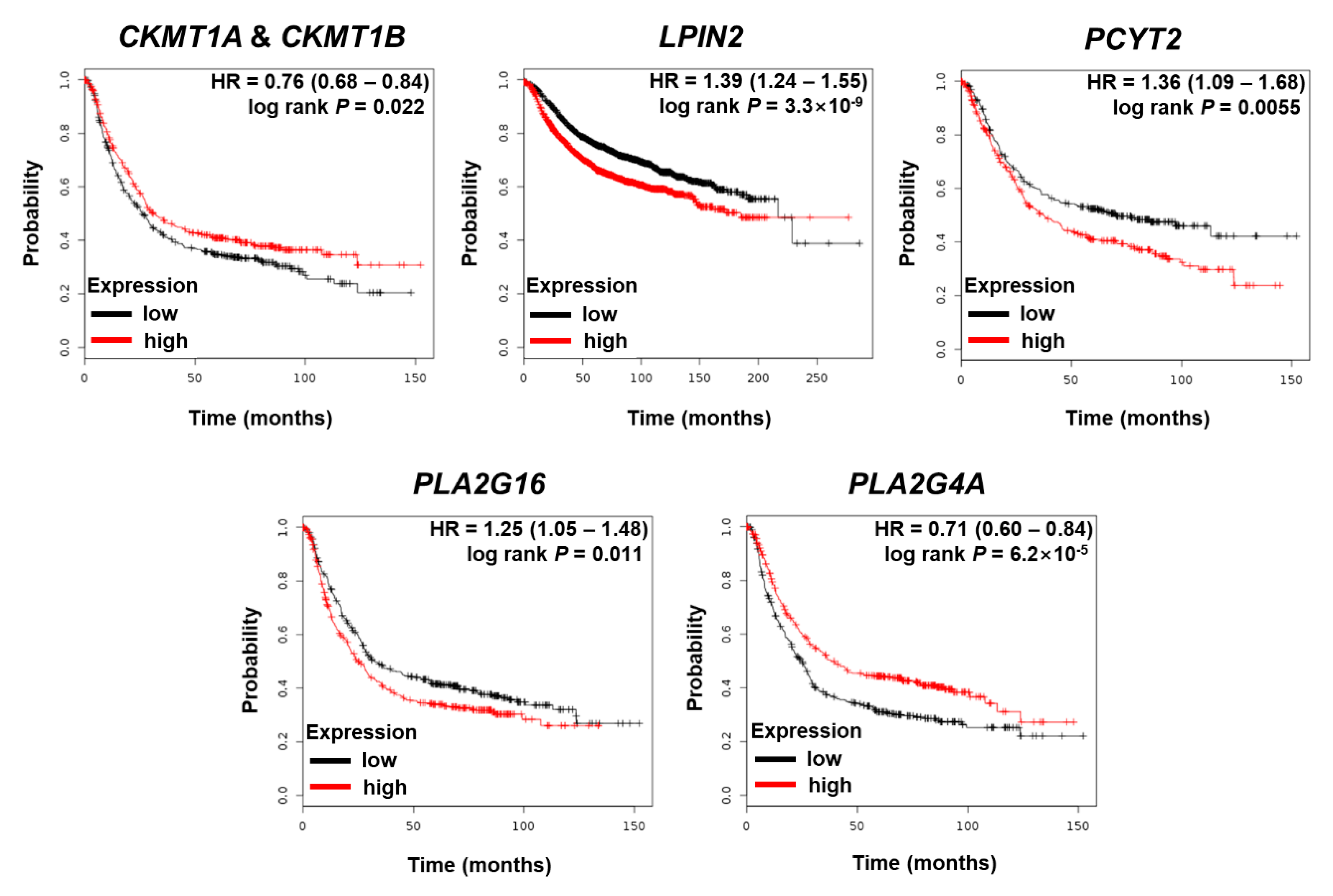 Cells 08 01220 g002 Cells 08 01220 g002