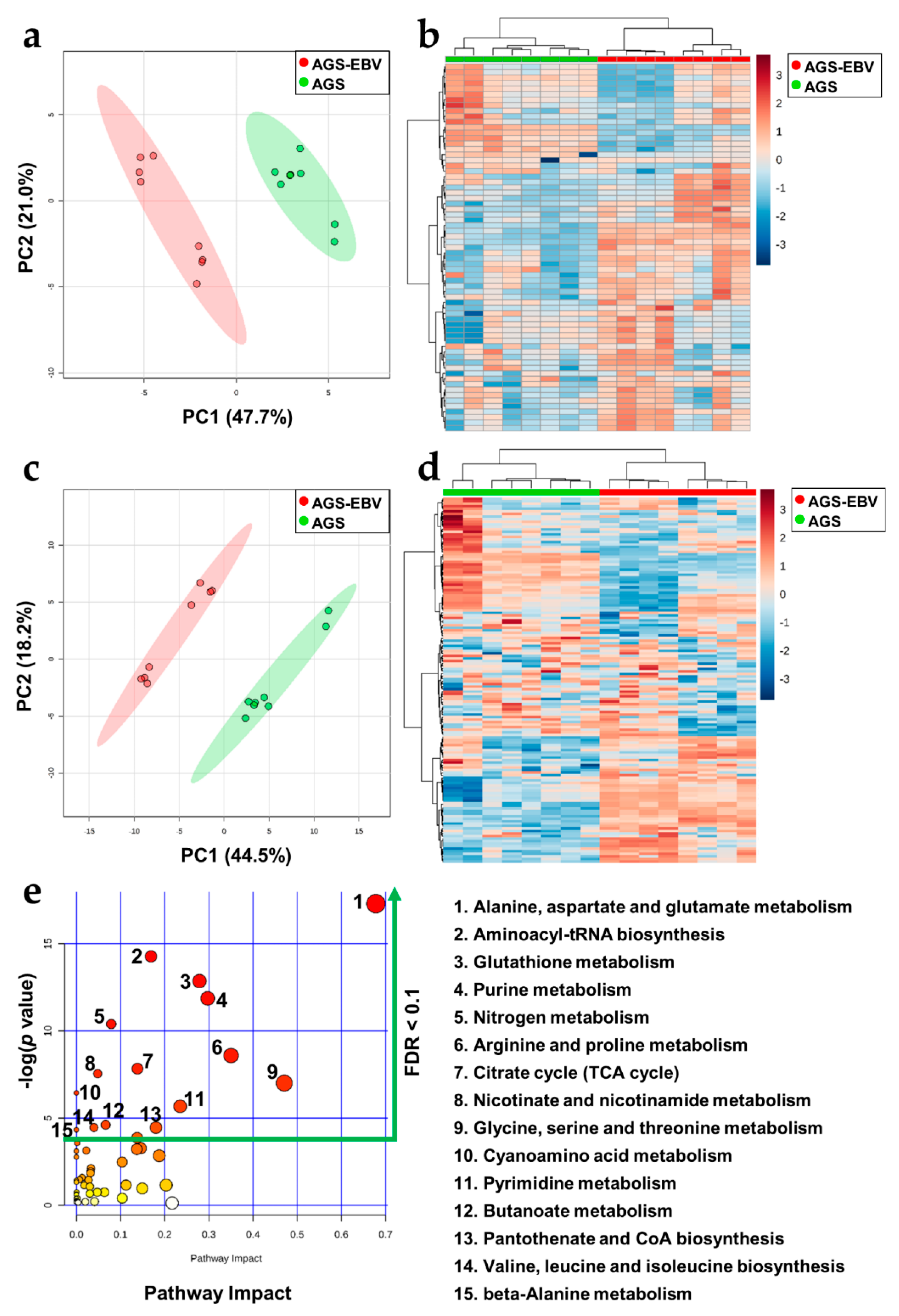 Cells 08 01220 g003 Cells 08 01220 g003