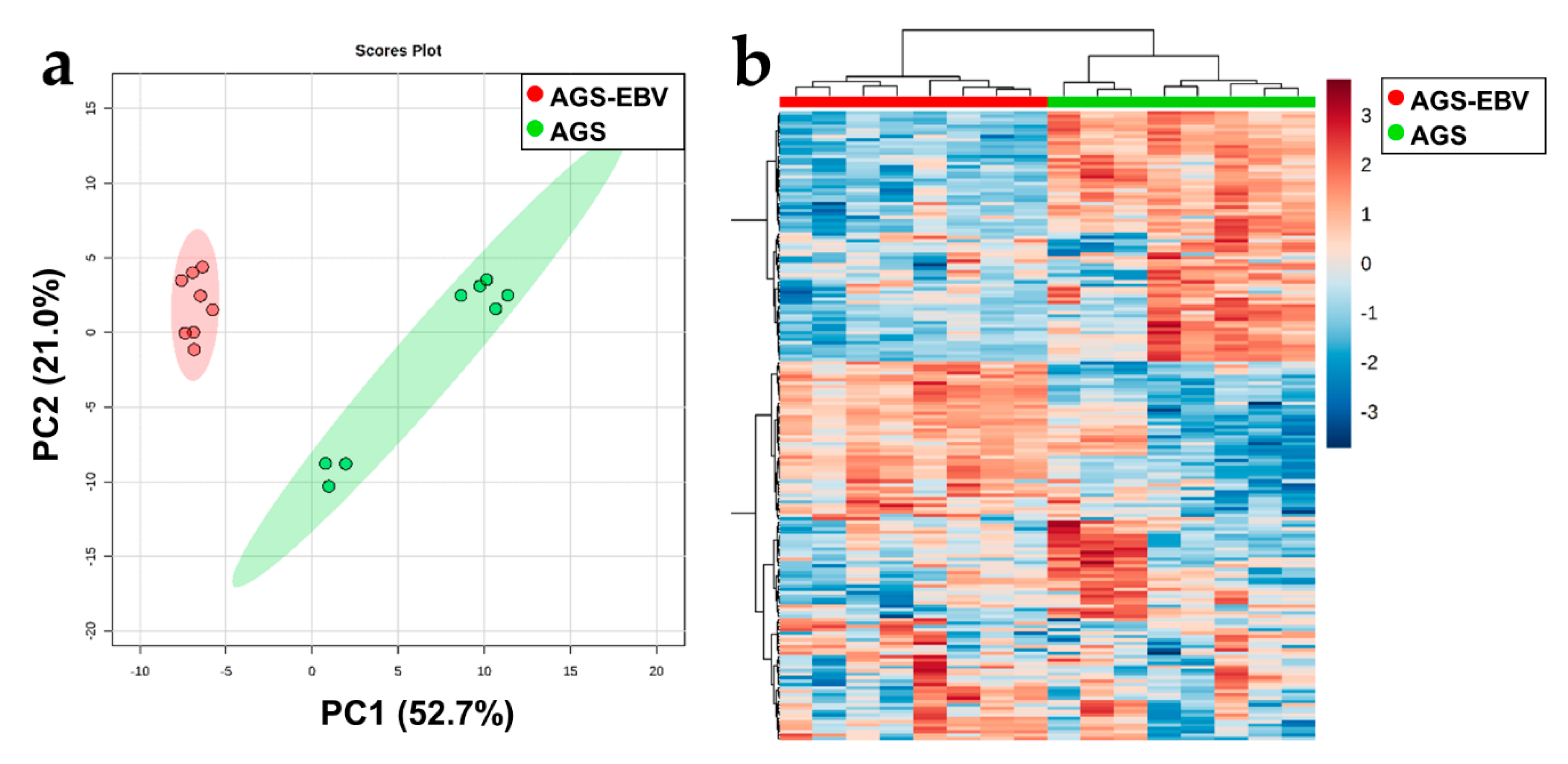 Cells 08 01220 g004 Cells 08 01220 g004