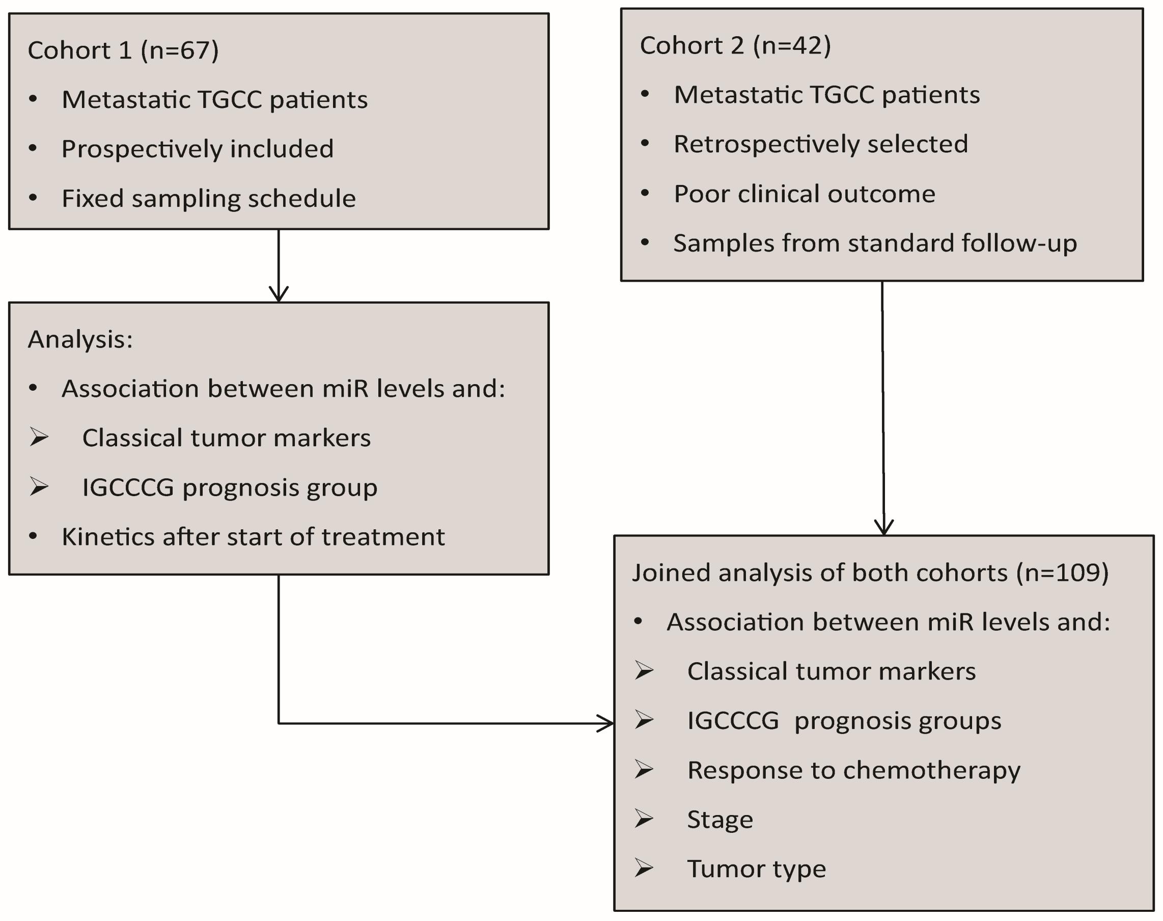 Cells 08 01221 g001 Cells 08 01221 g001