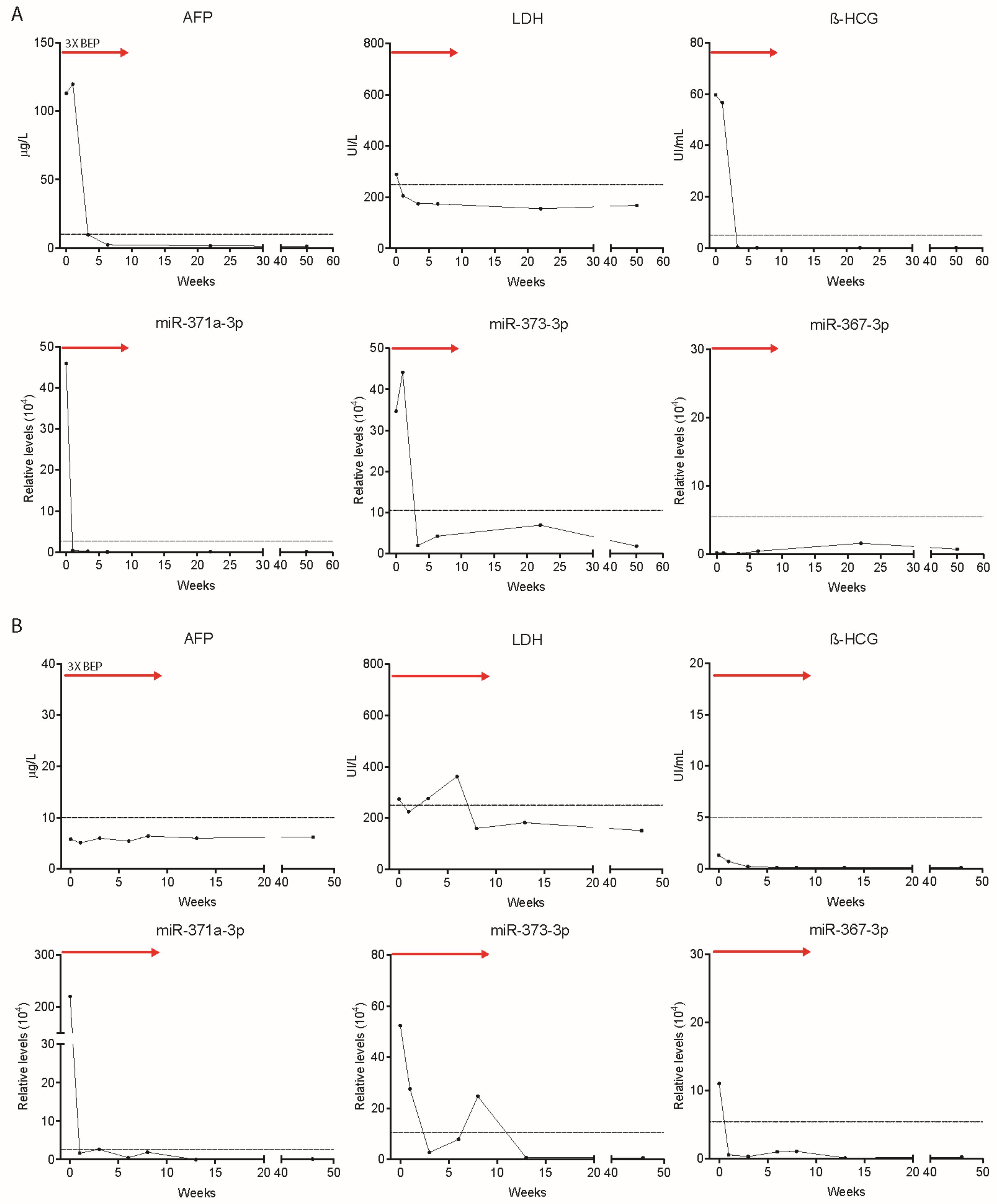 Cells 08 01221 g005 Cells 08 01221 g005