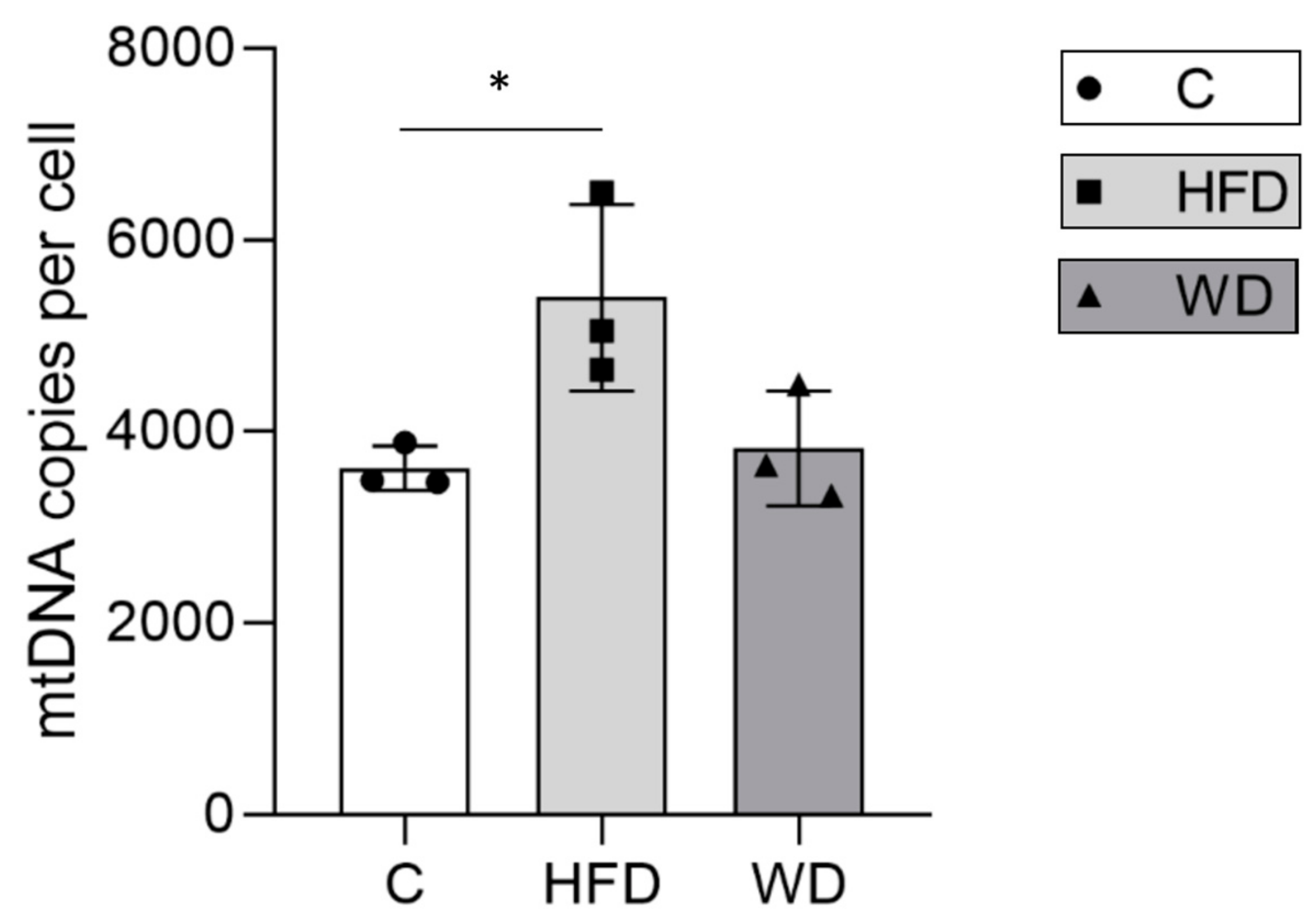 Cells 08 01222 g003 Cells 08 01222 g003