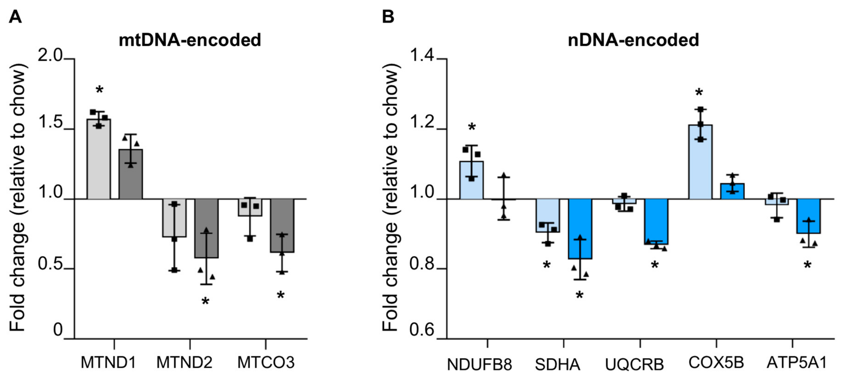 Cells 08 01222 g004 Cells 08 01222 g004