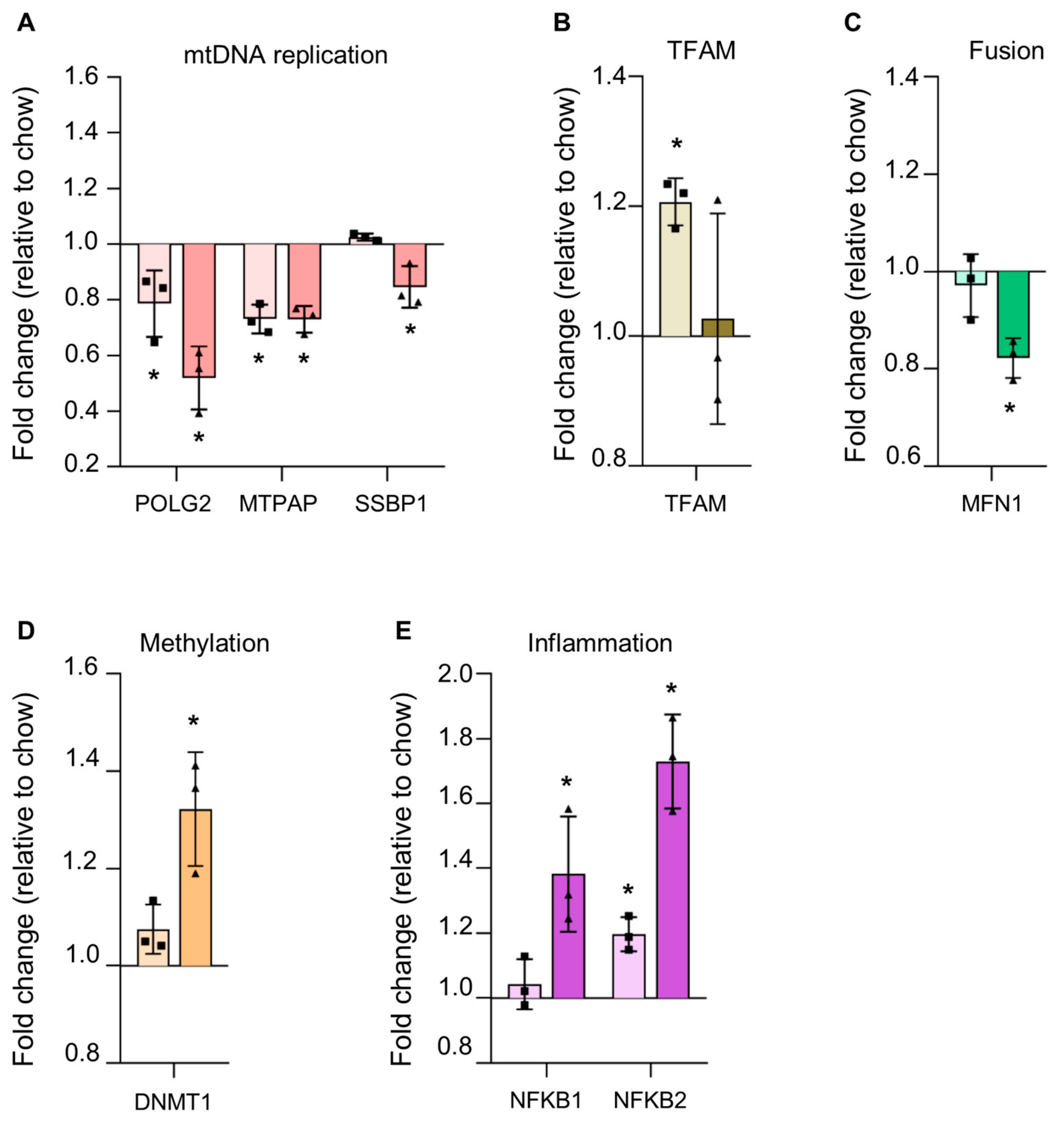 Cells 08 01222 g005 Cells 08 01222 g005