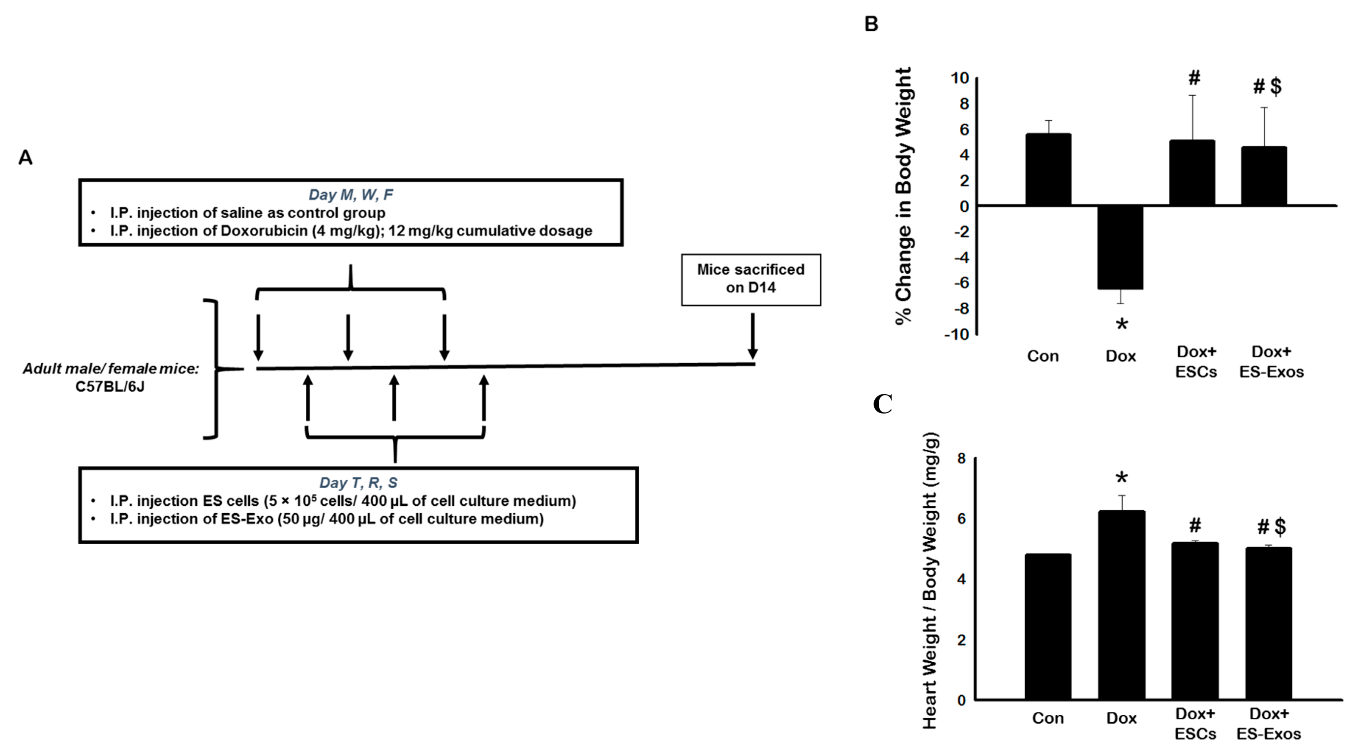 Cells 08 01224 g001 Cells 08 01224 g001