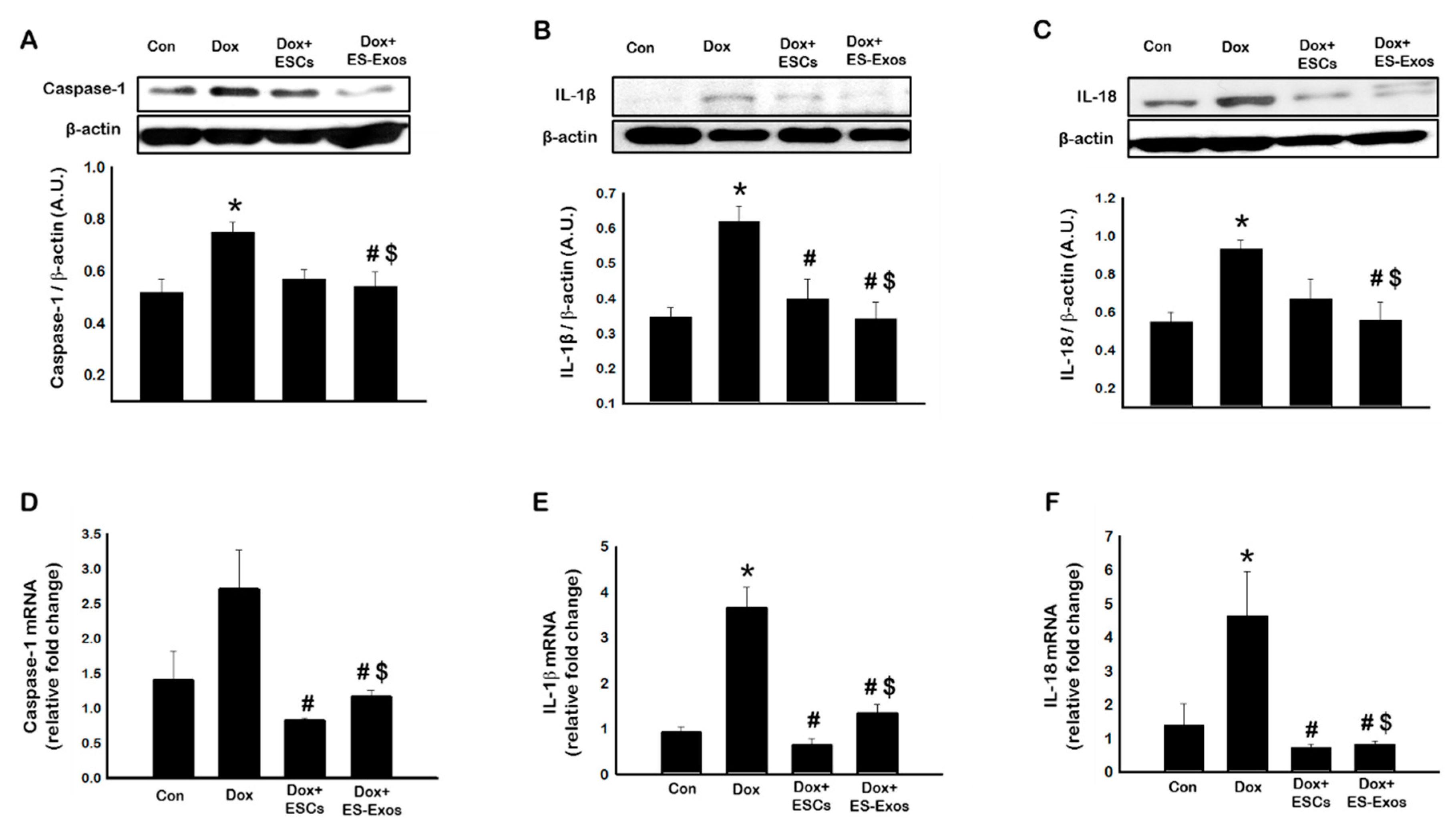 Cells 08 01224 g005 Cells 08 01224 g005