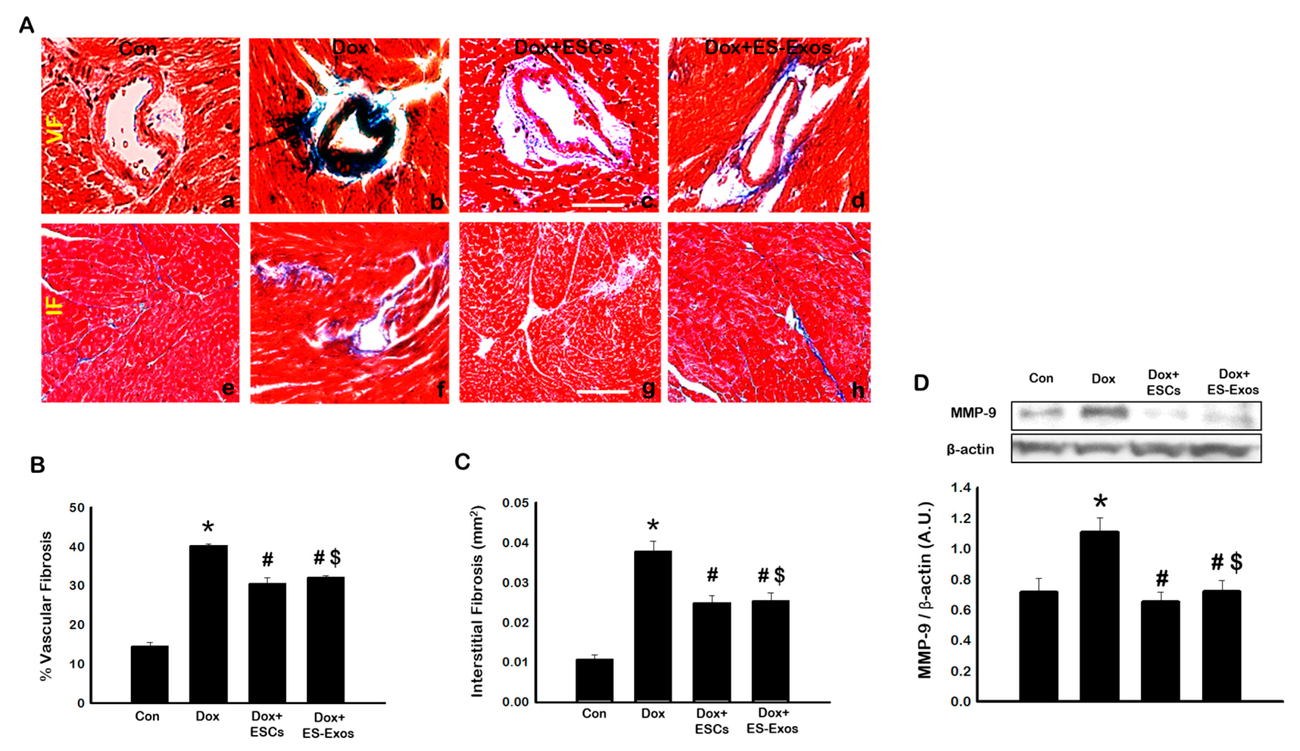 Cells 08 01224 g011 Cells 08 01224 g011