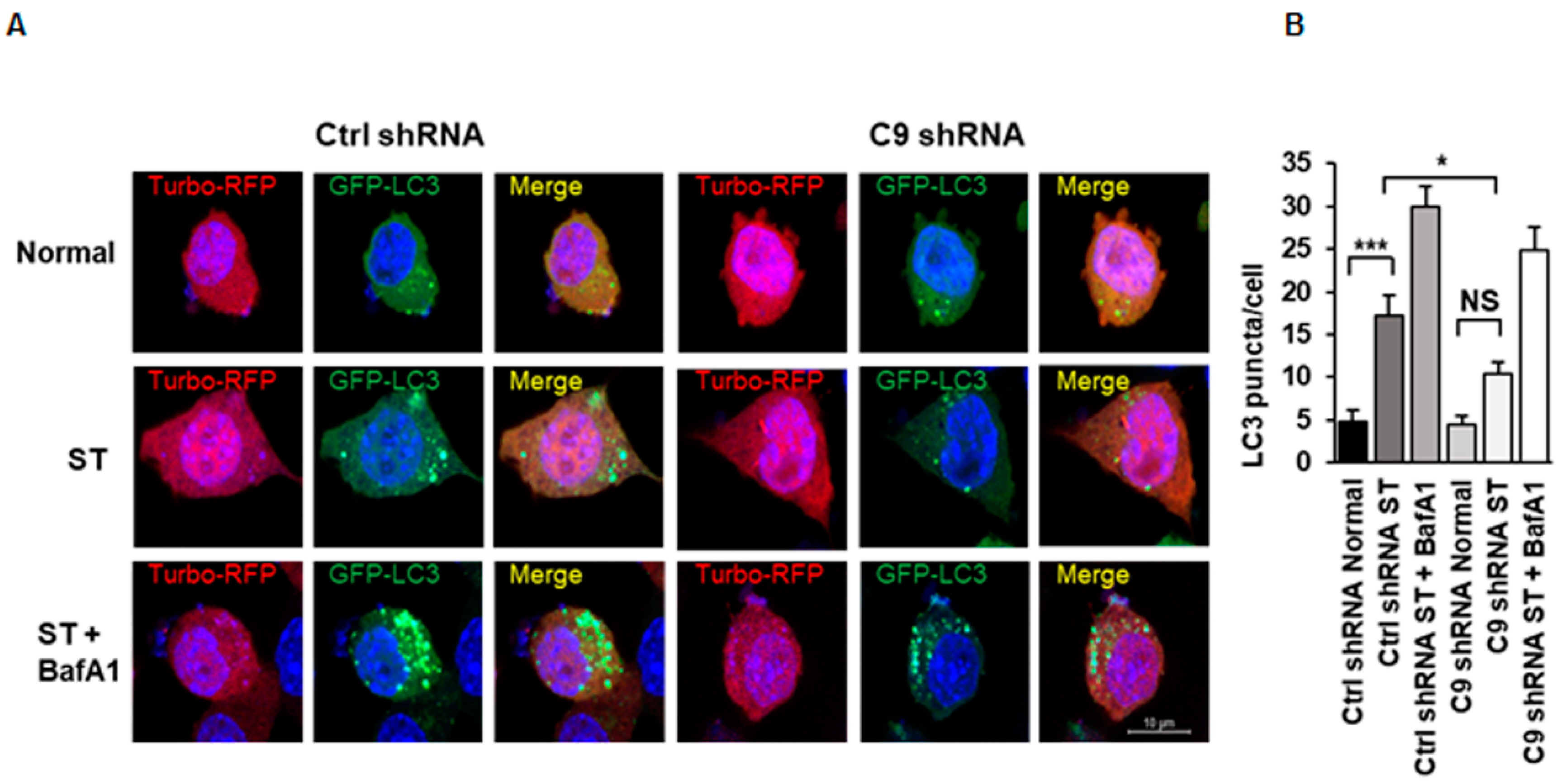 Cells 08 01233 g002 Cells 08 01233 g002