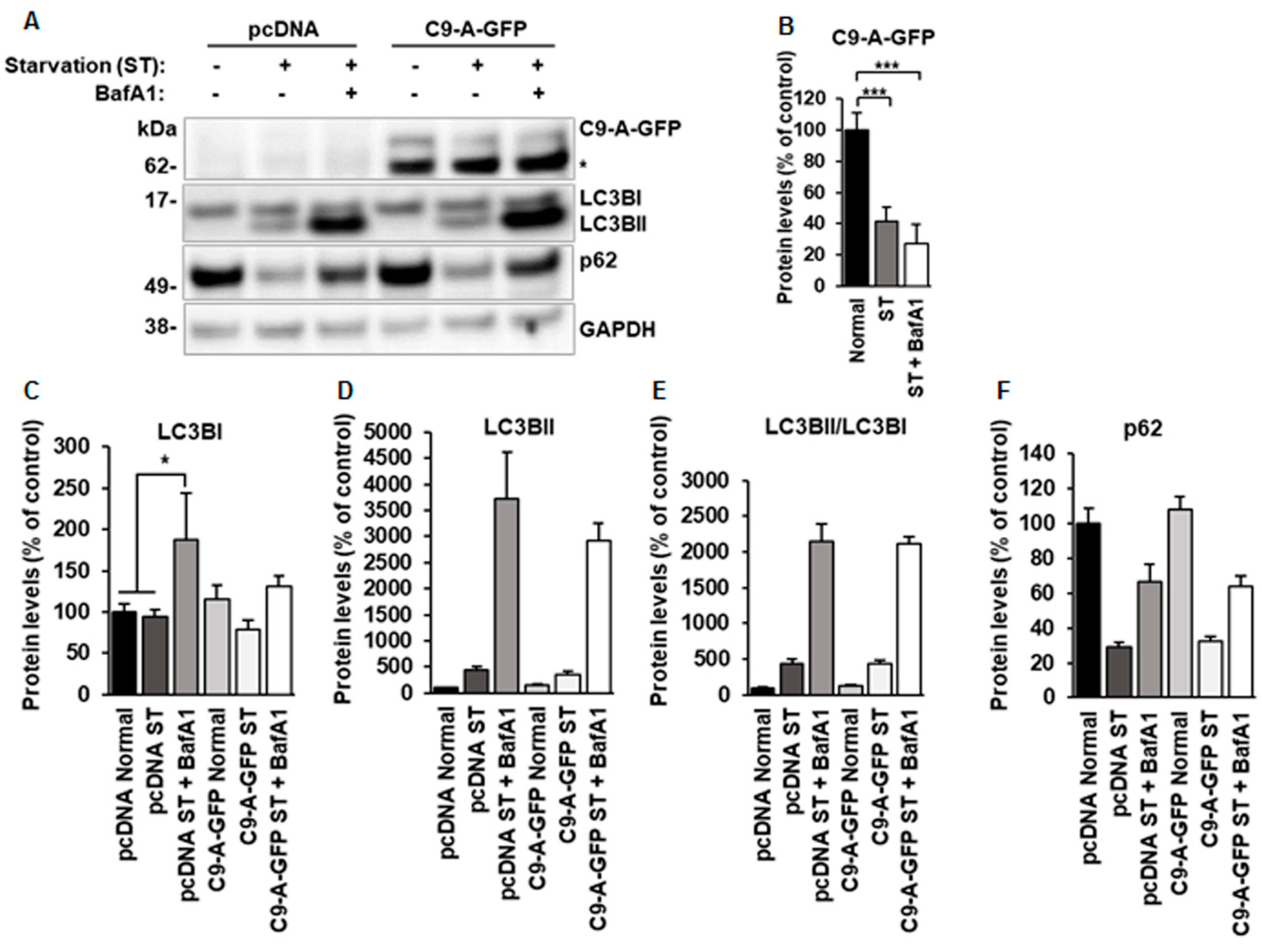 Cells 08 01233 g003 Cells 08 01233 g003