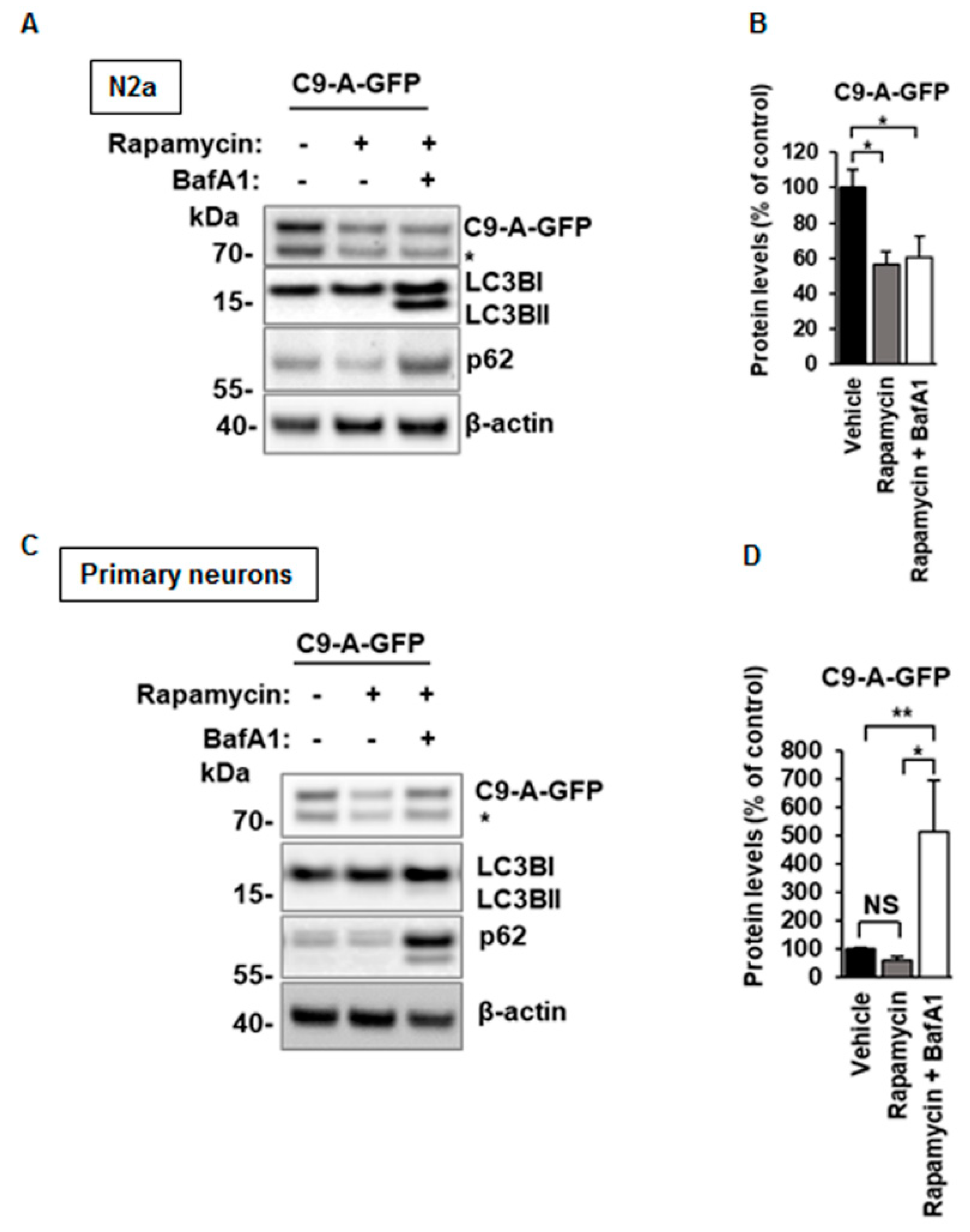 Cells 08 01233 g004 Cells 08 01233 g004