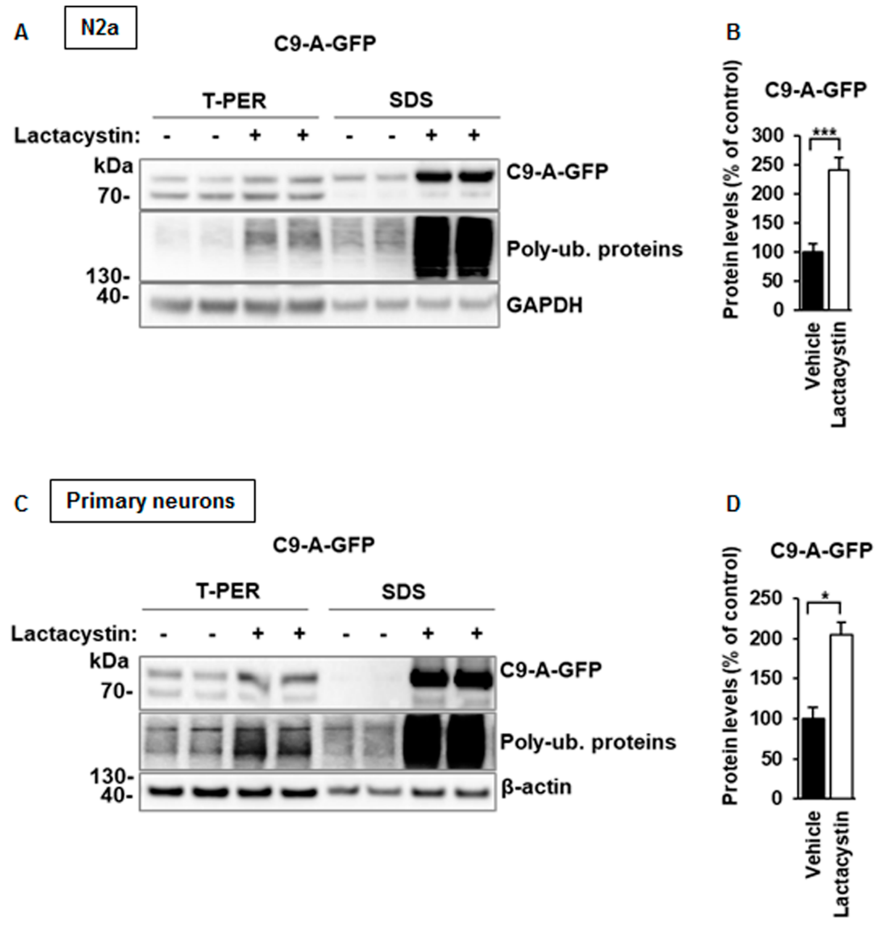 Cells 08 01233 g005 Cells 08 01233 g005