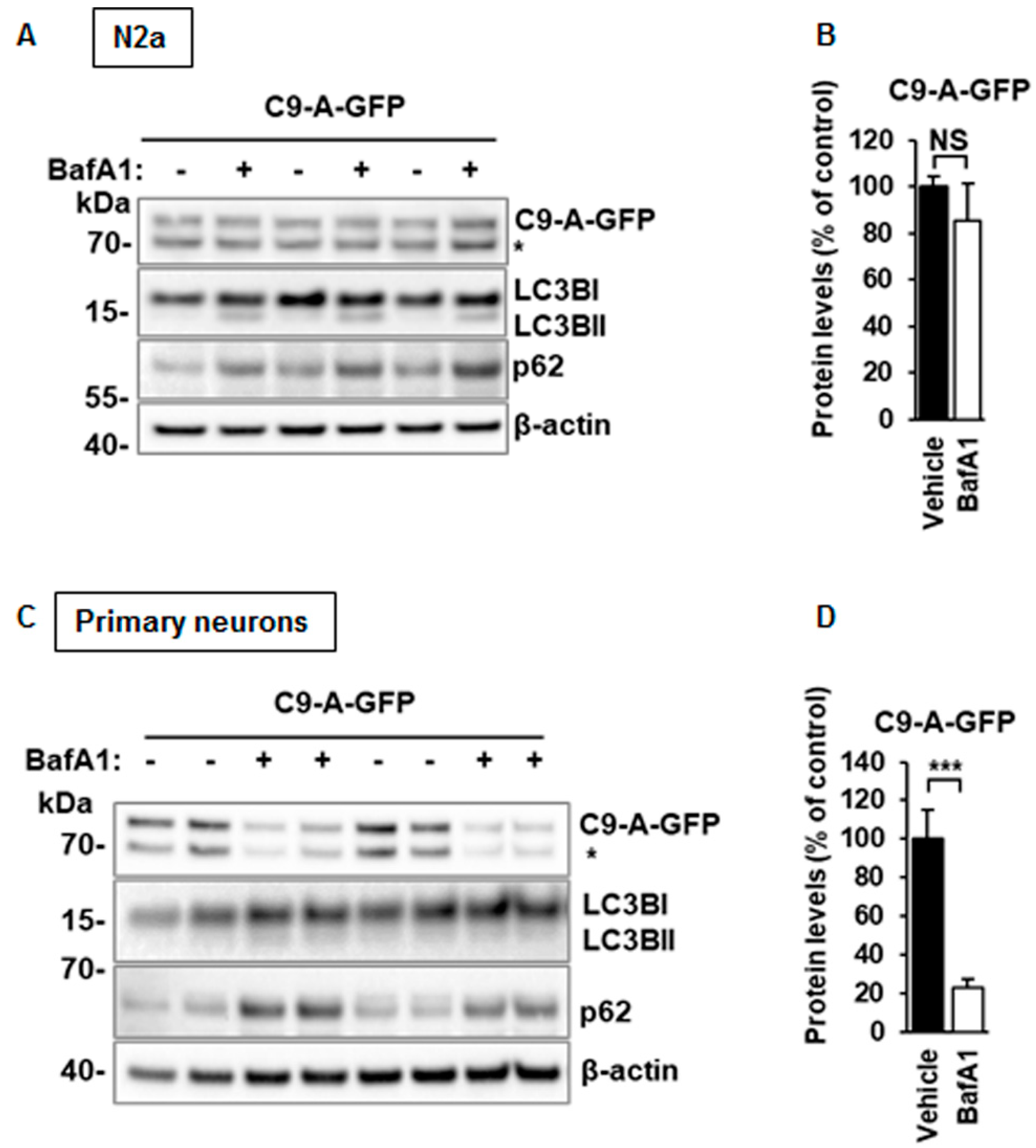 Cells 08 01233 g008 Cells 08 01233 g008