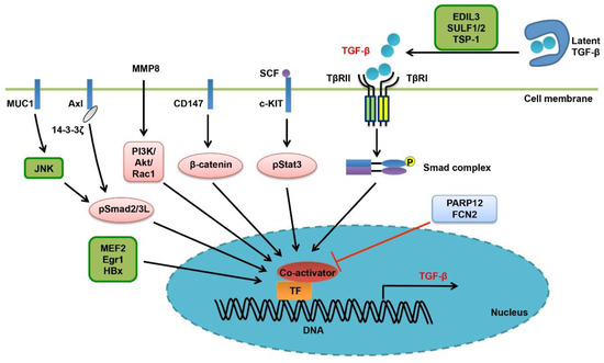Contextual Regulation of TGF-β Signaling in Liver Cancer