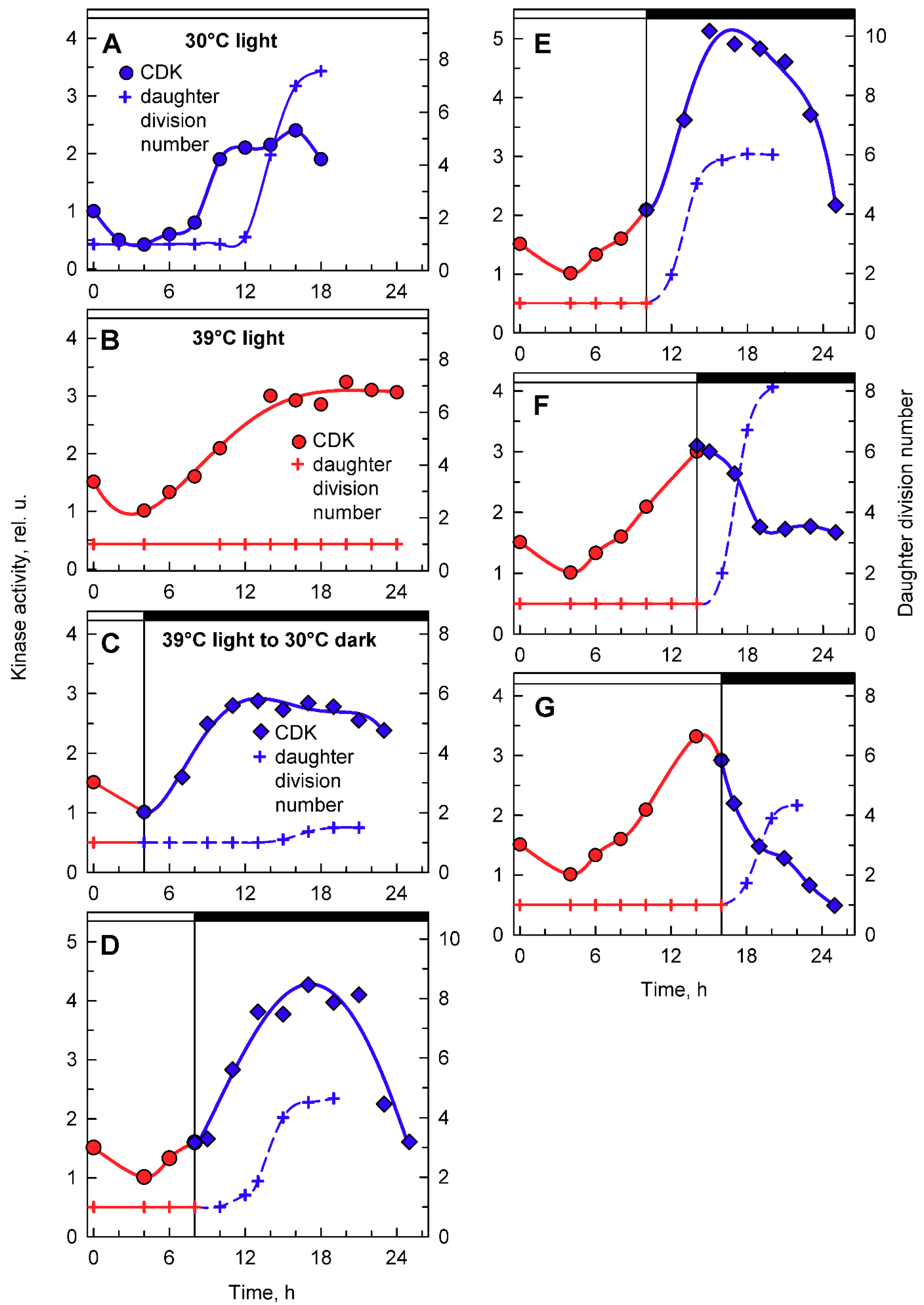Cells 08 01237 g008 550