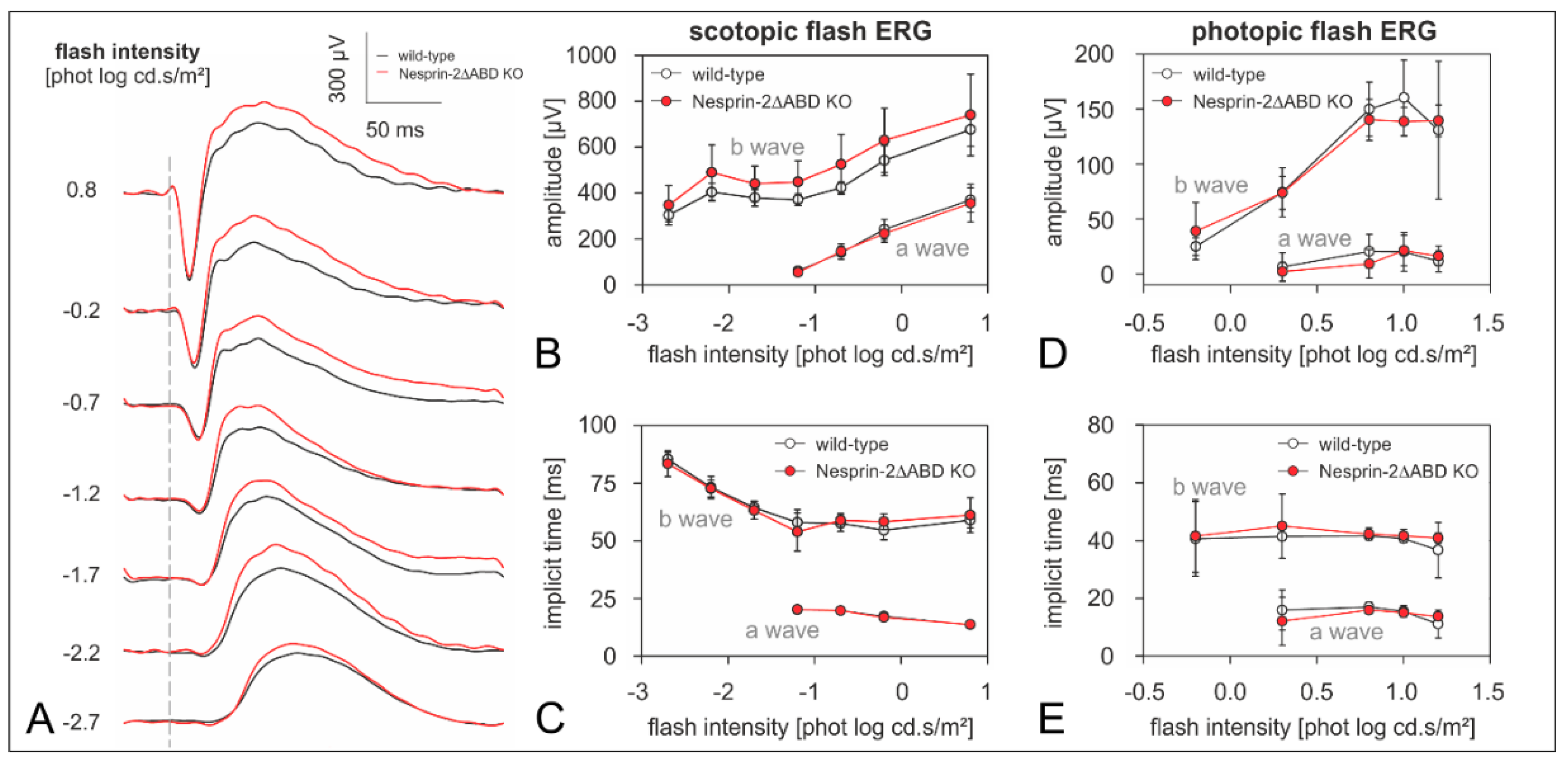 Cells 08 01238 g004 Cells 08 01238 g004