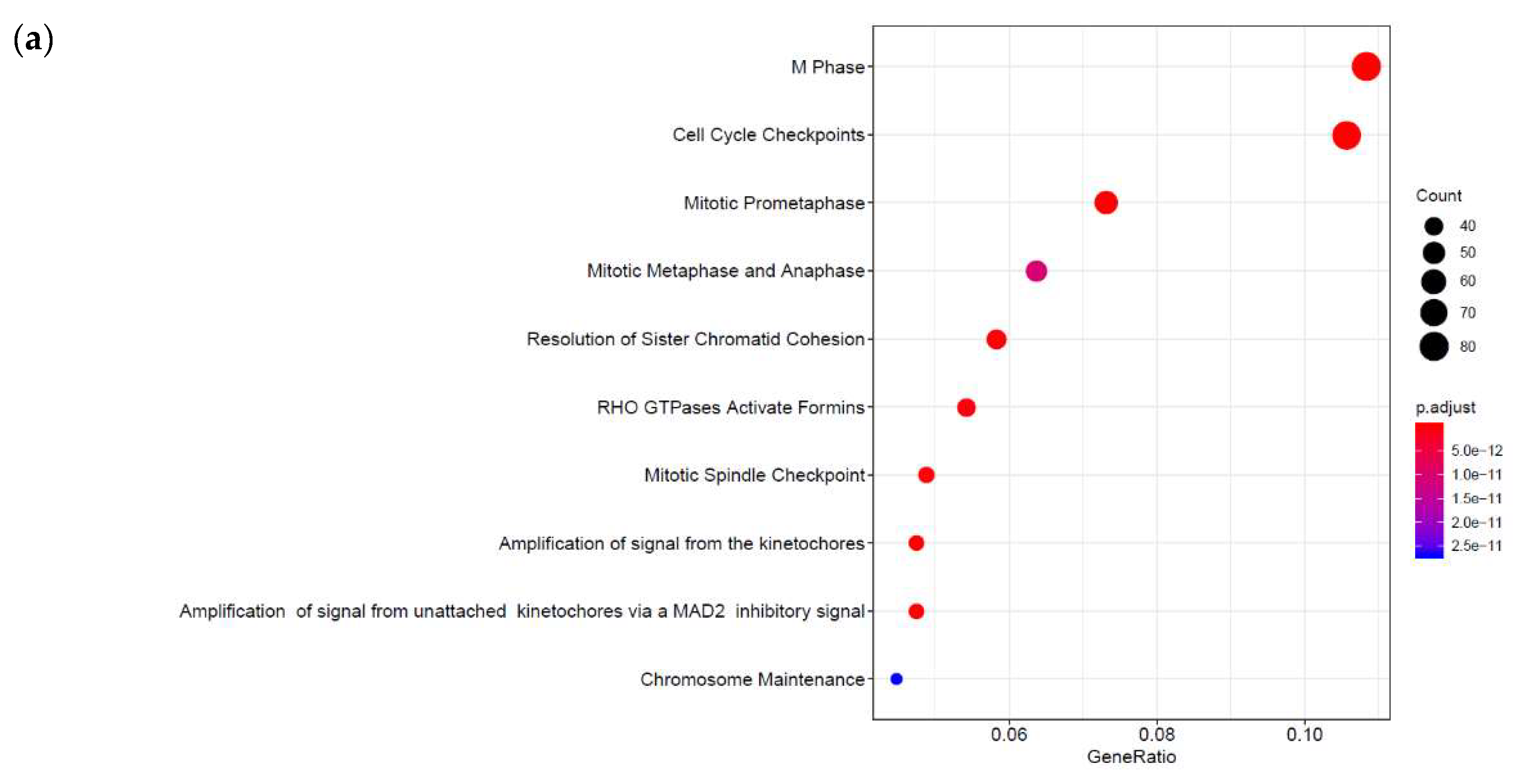 Cells 08 01253 g002a Cells 08 01253 g002a