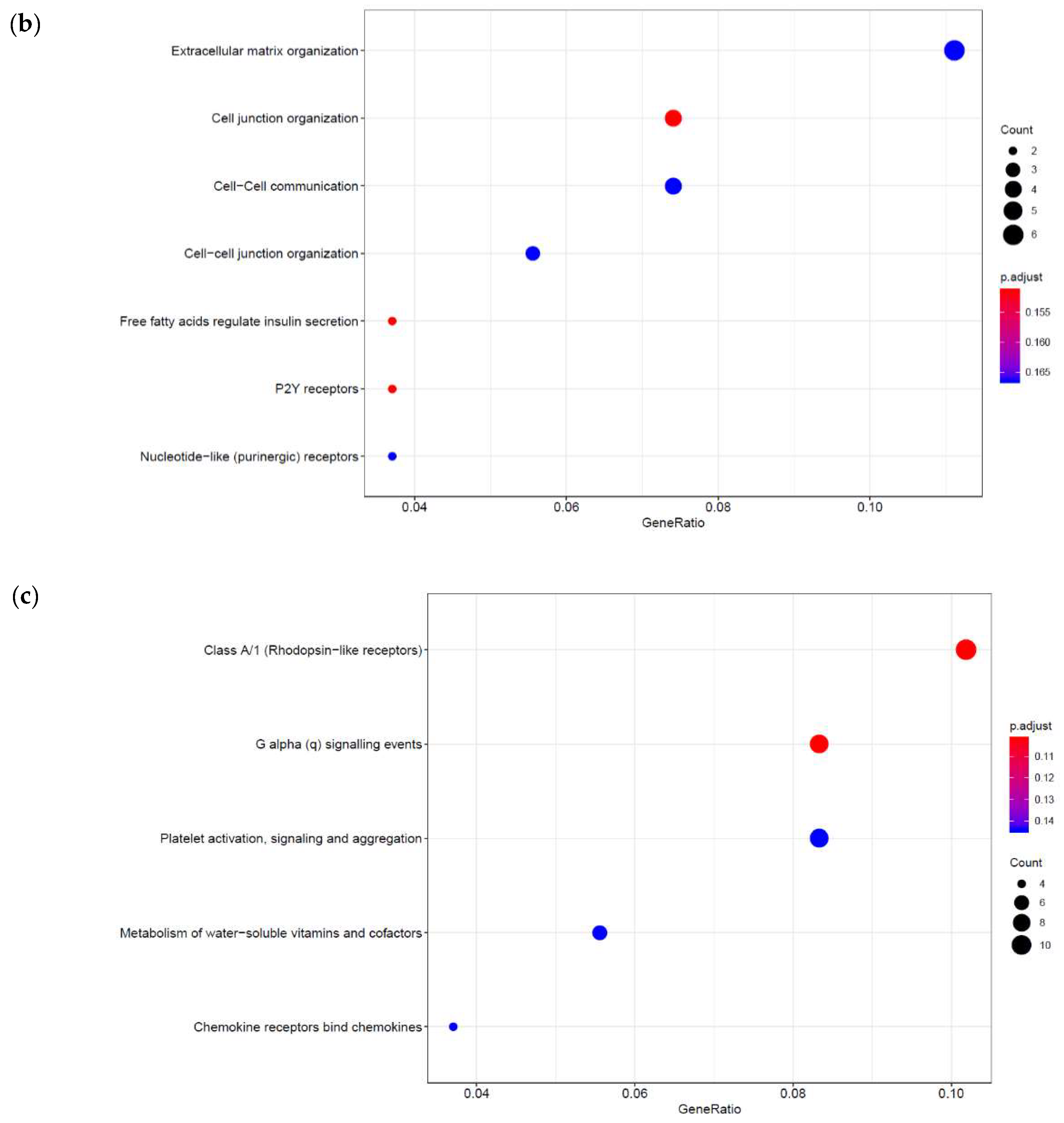 Cells 08 01253 g002b Cells 08 01253 g002b