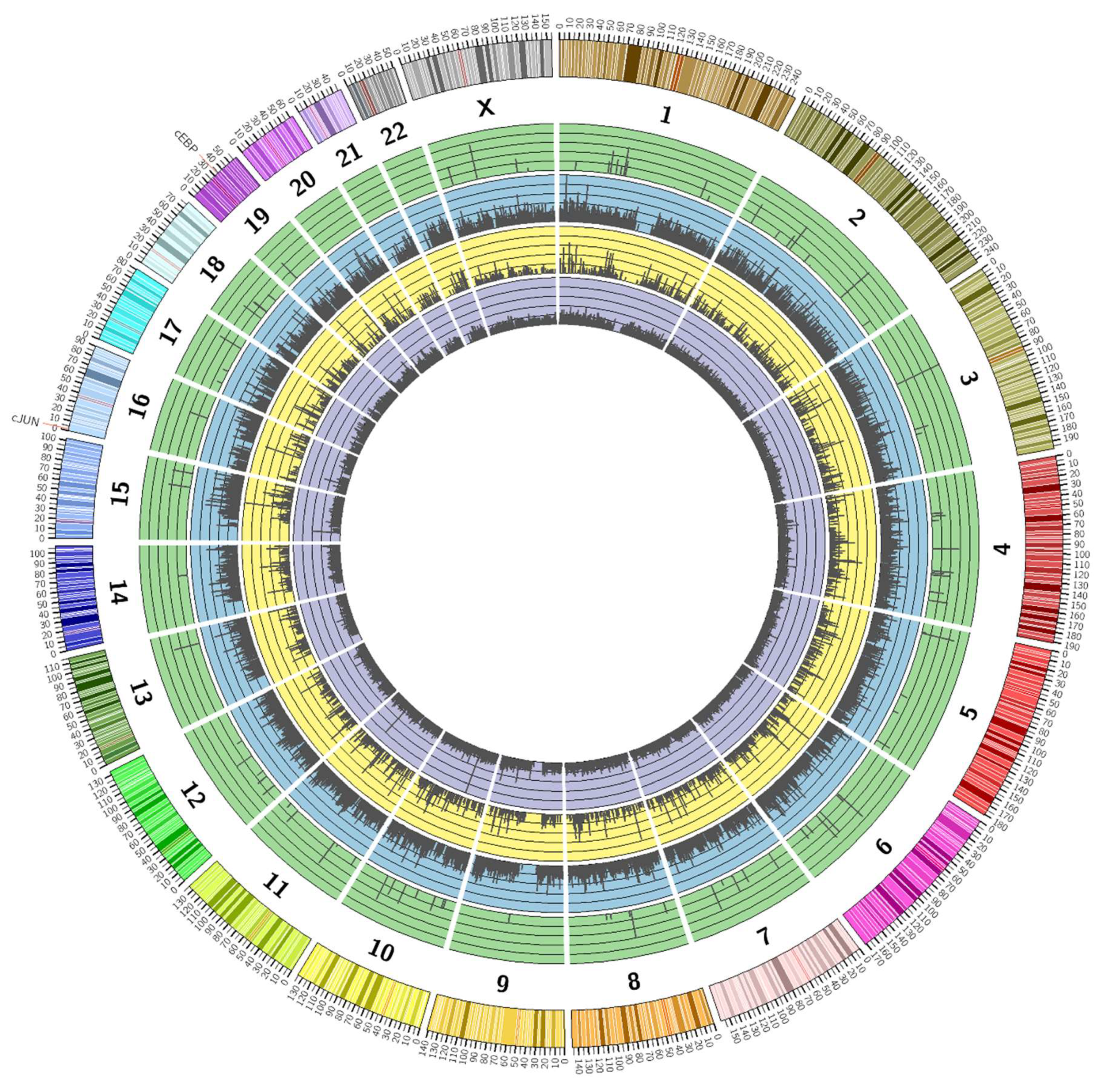Cells 08 01253 g003 Cells 08 01253 g003