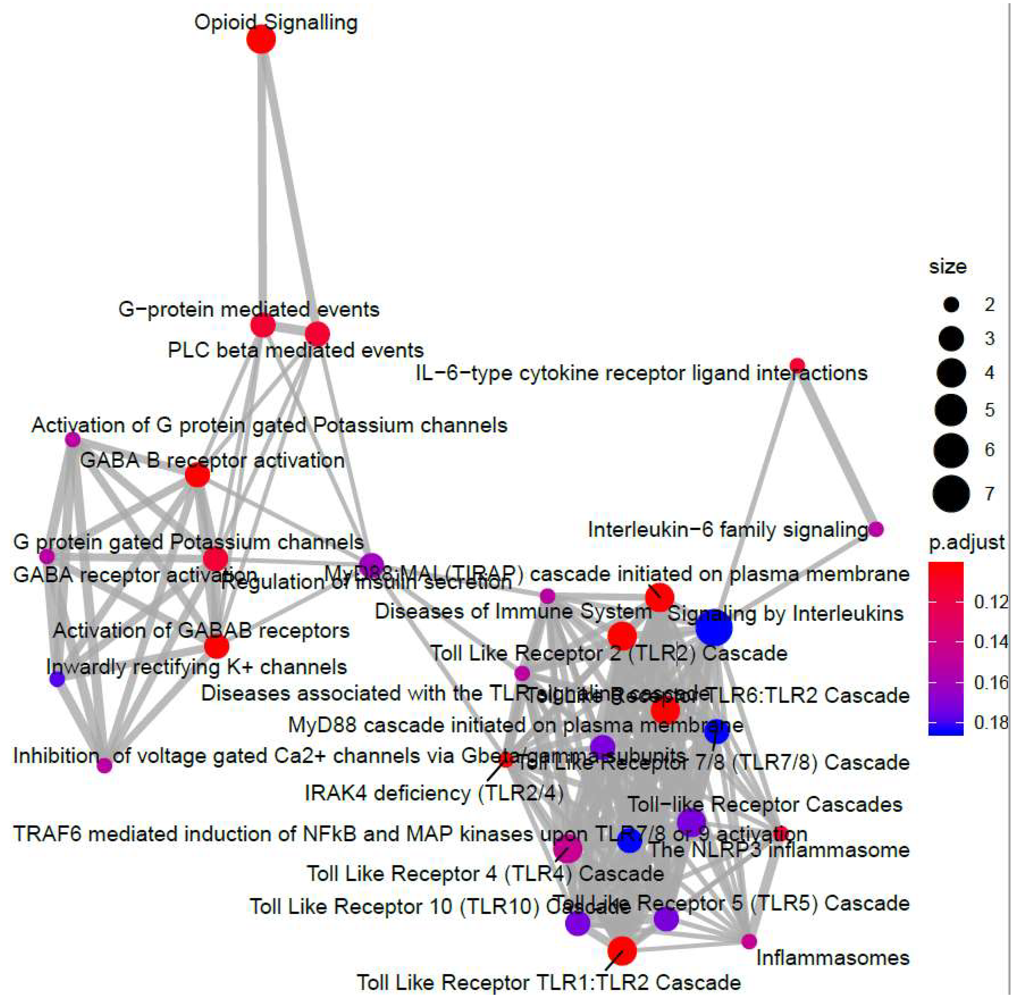 Cells 08 01253 g007 Cells 08 01253 g007
