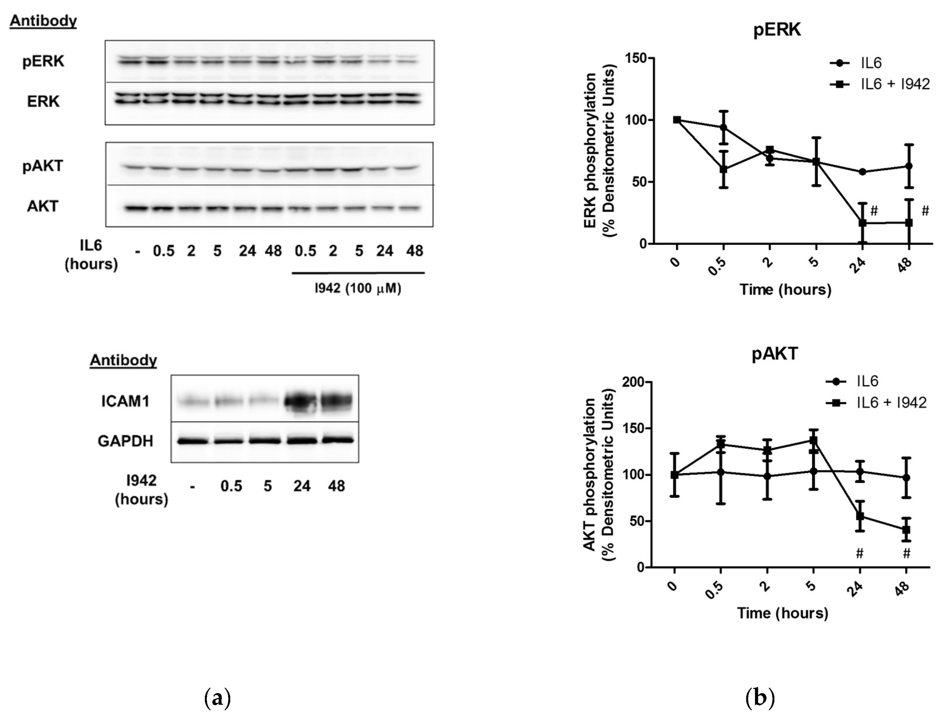 Cells 08 01253 g009 Cells 08 01253 g009